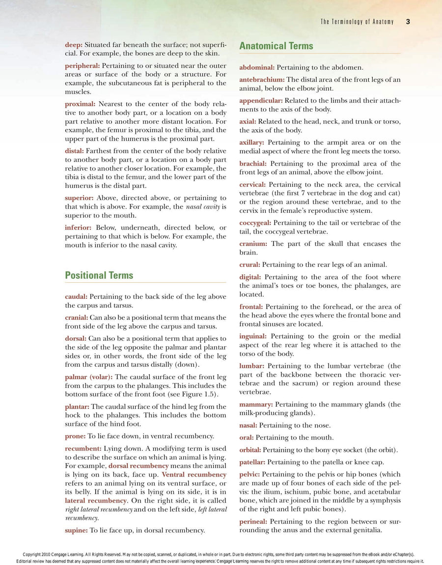 Preview page of Laboratory Manual Comparative Veterinary Anatomy Physiology 2nd Edition