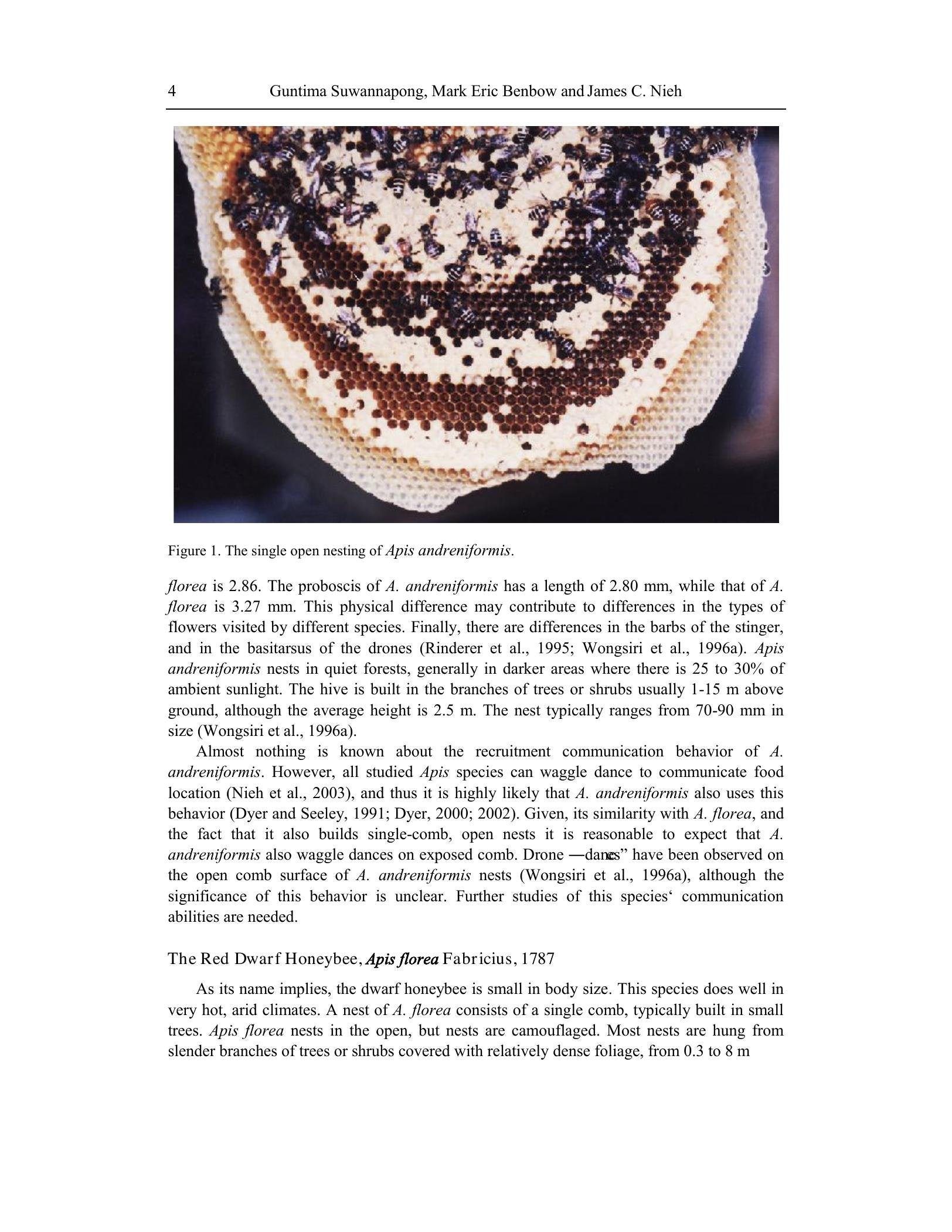 Look inside — page 20