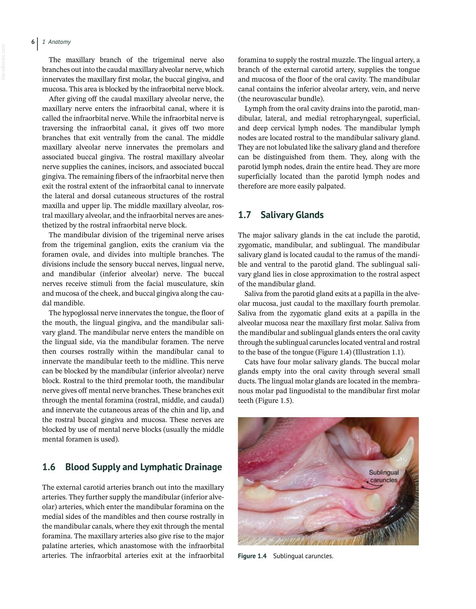 Look inside — page 20