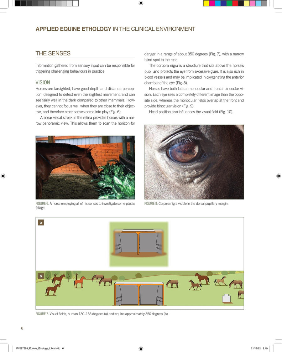 Preview page of Applied Equine Ethology in the Clinical Environment