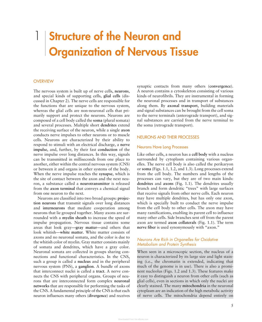 Preview page of The Central Nervous System Structure and Function 4th Edition