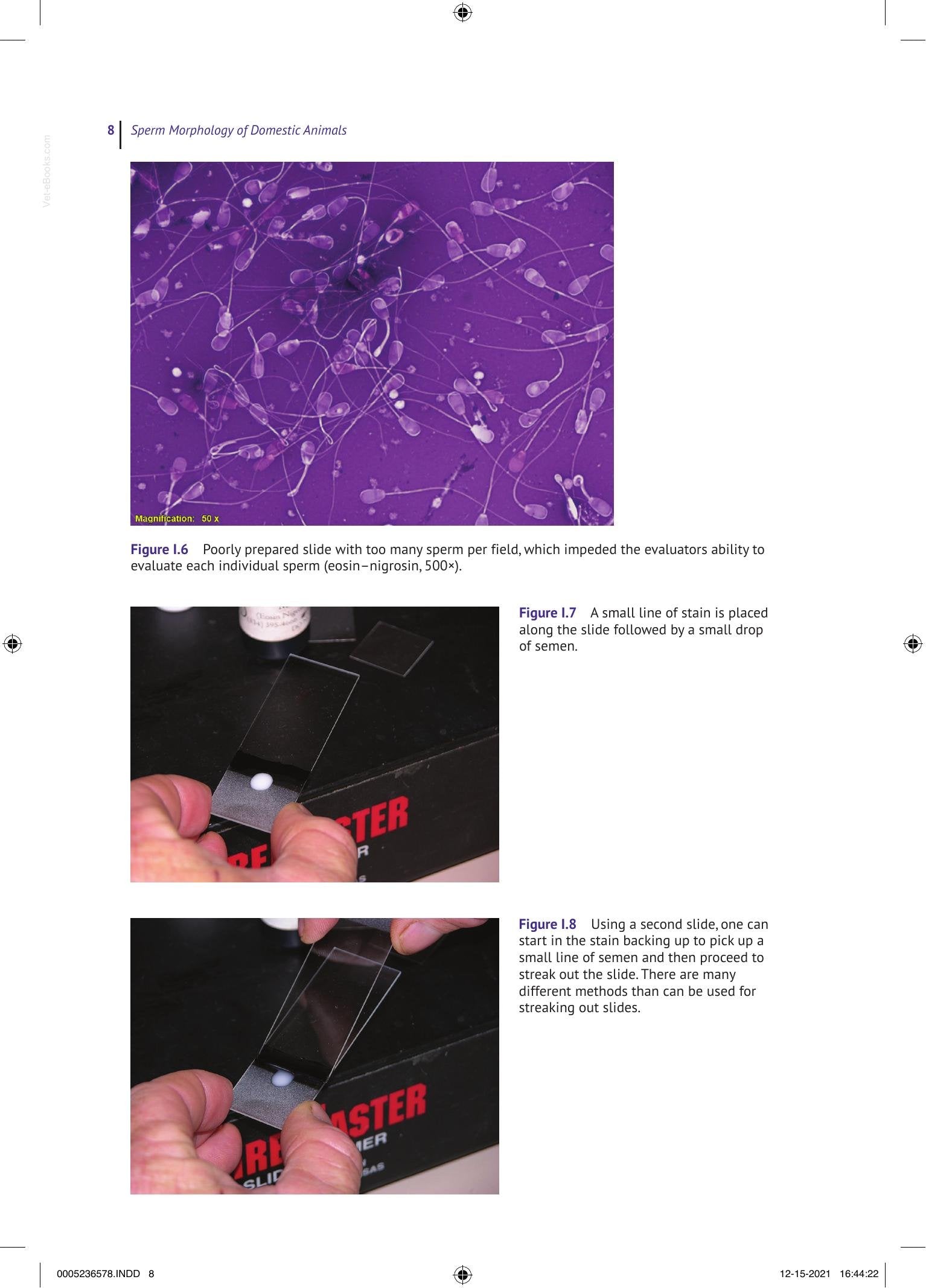 Look inside — page 20