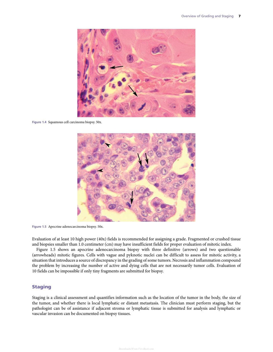 Preview page of Atlas for the Diagnosis of Tumors in the Dog and Cat