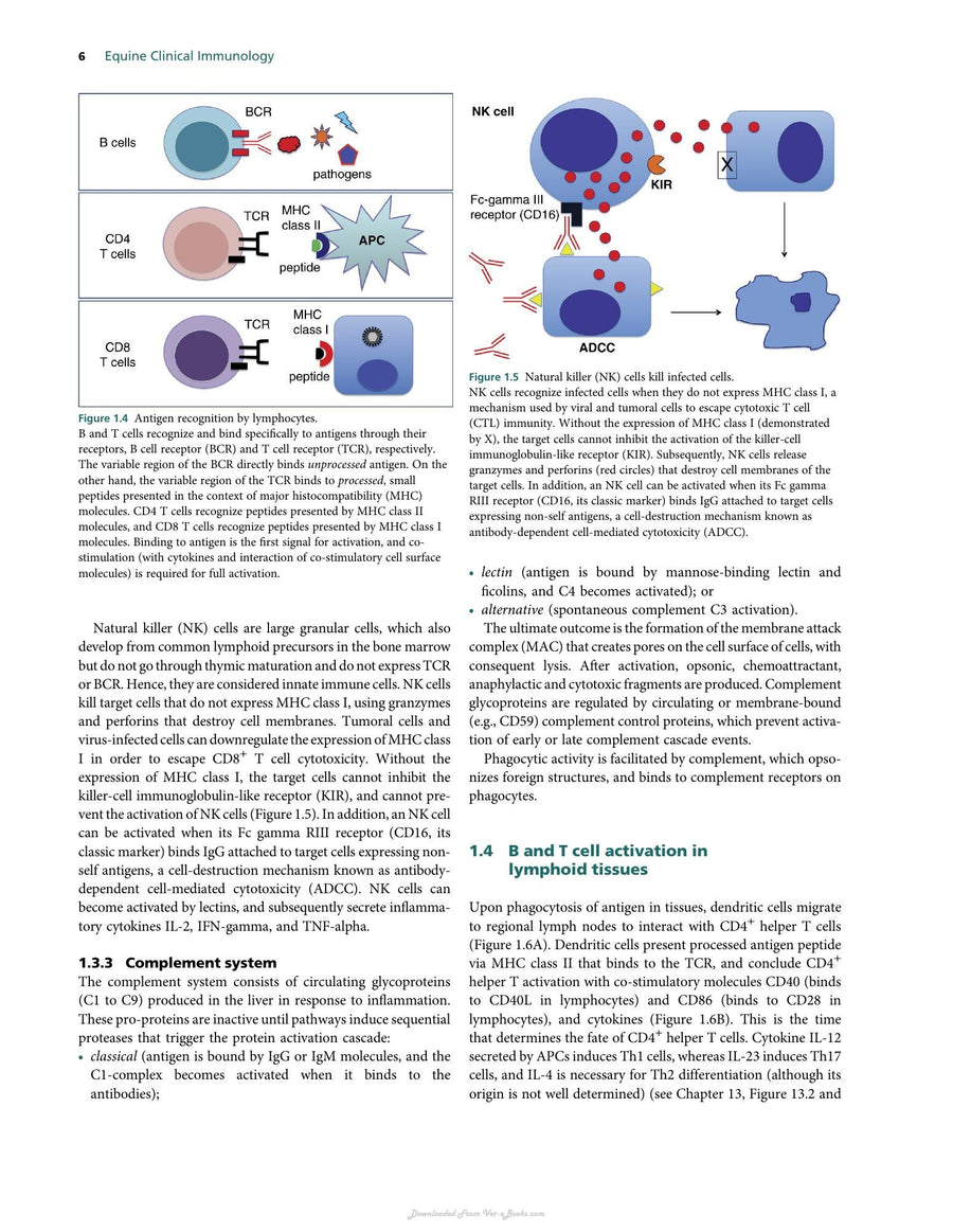 Preview page of Equine Clinical Immunology