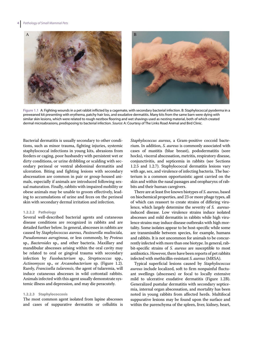 Preview page of Pathology of Small Mammal Pets