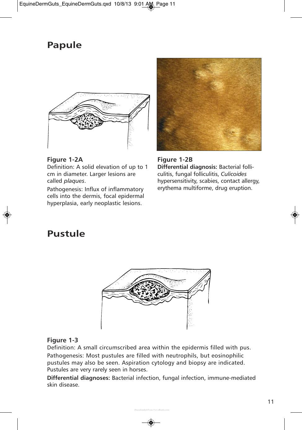 Look inside — page 20