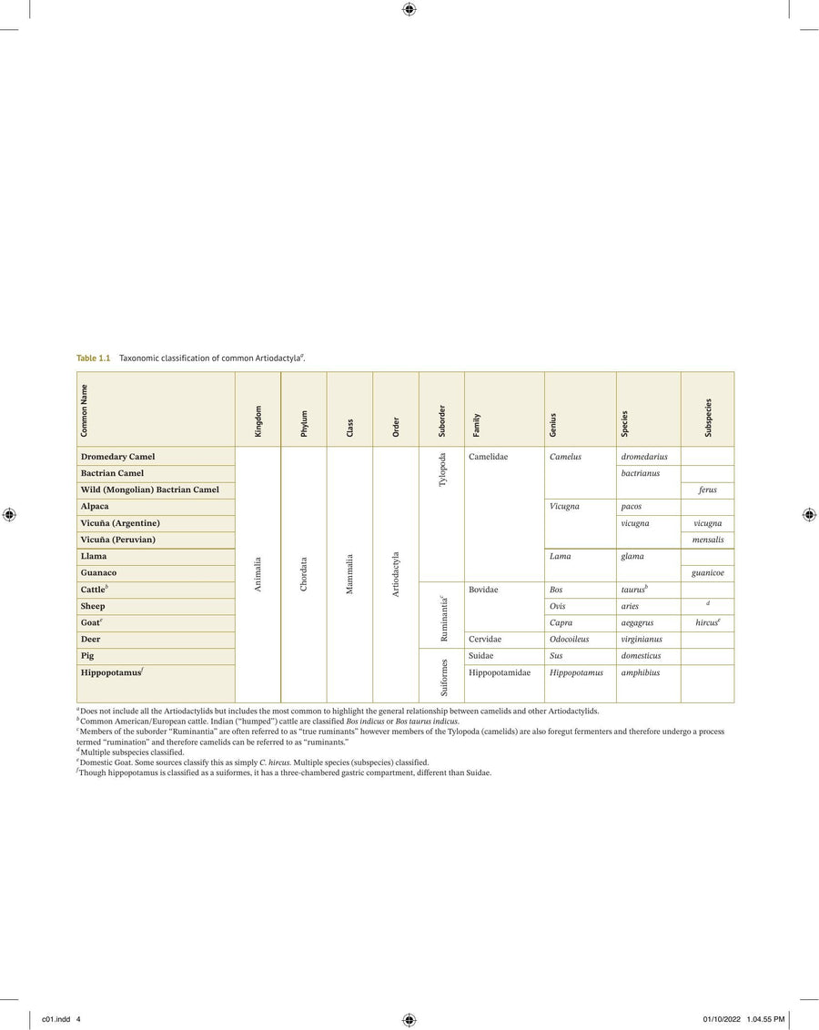 Preview page of Medicine and Surgery of Camelids 4th Edition