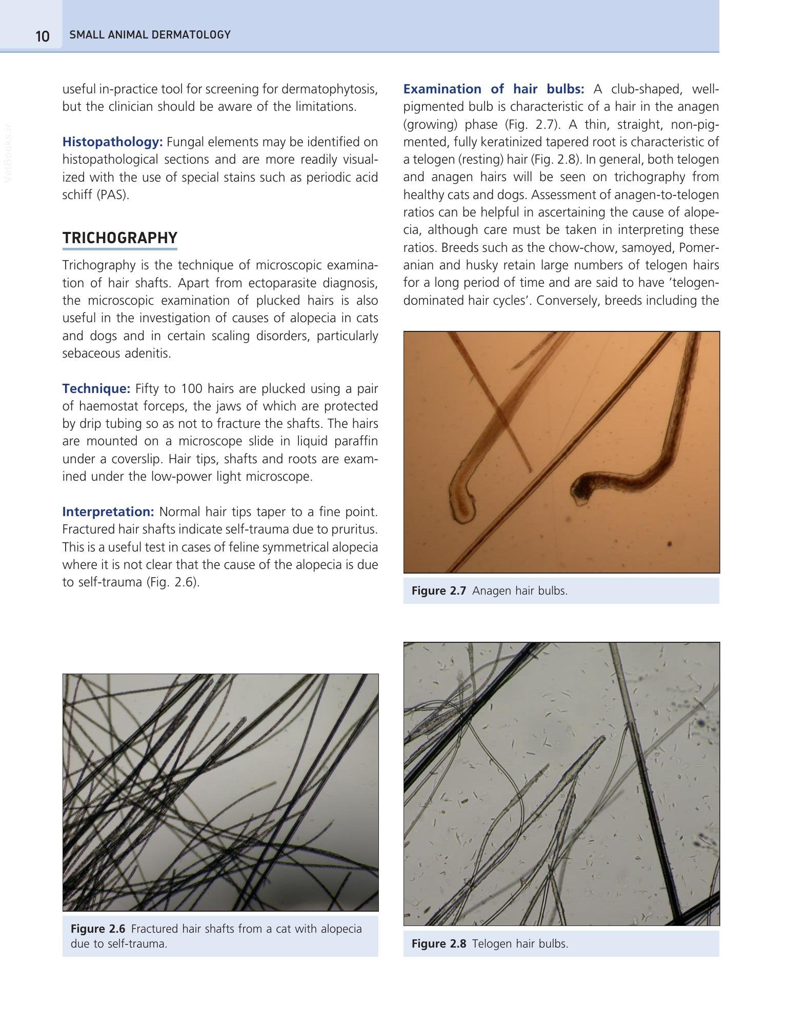 Look inside — page 20