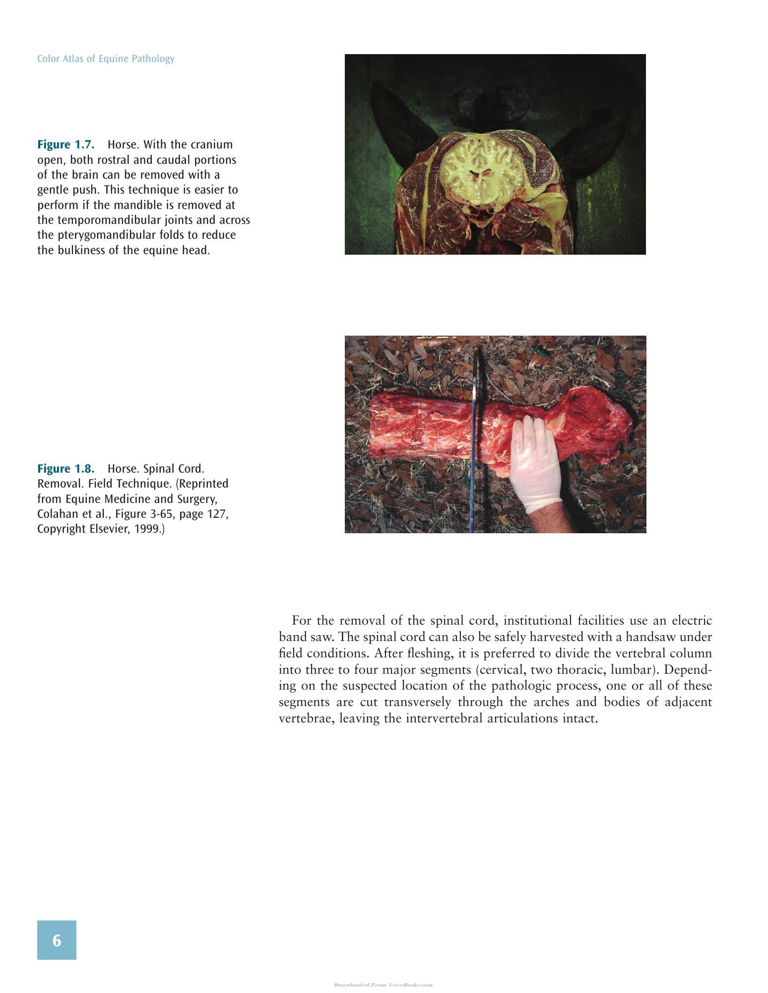 Look inside — page 20