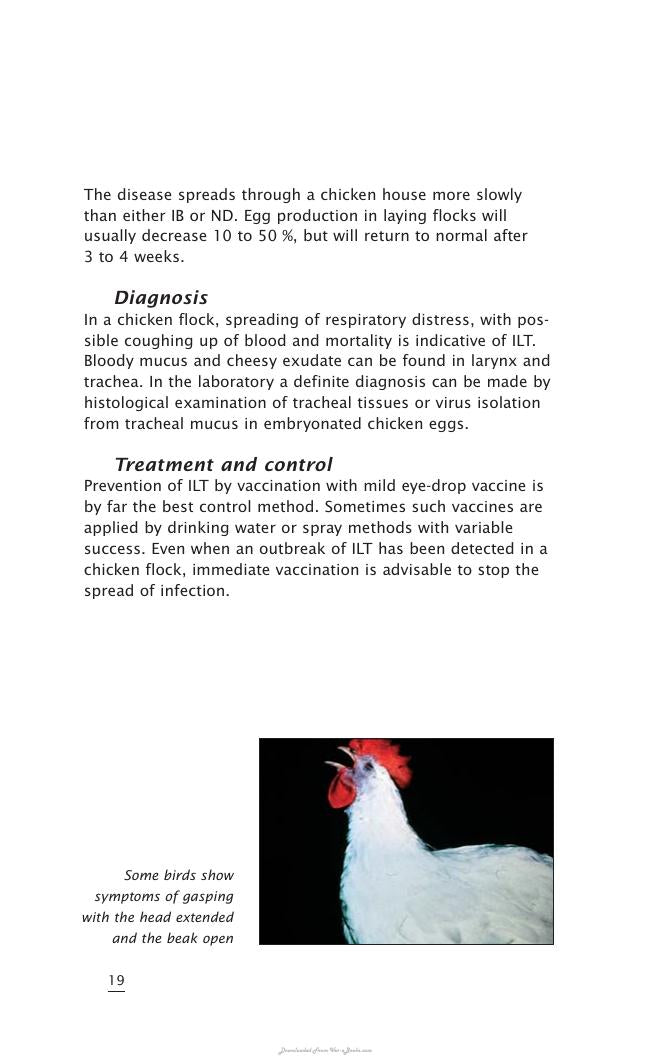 Important Poultry Diseases