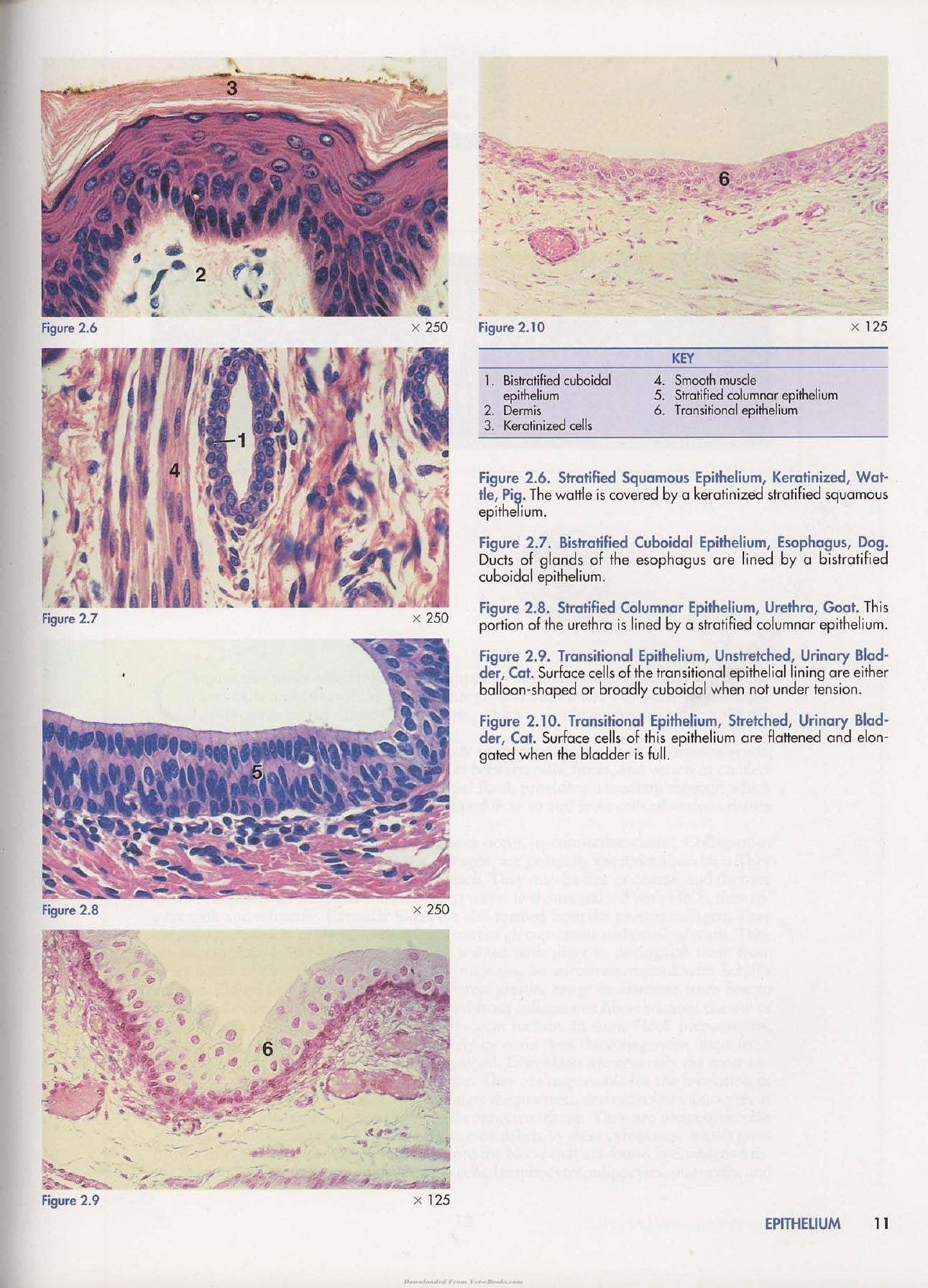 Look inside — page 21