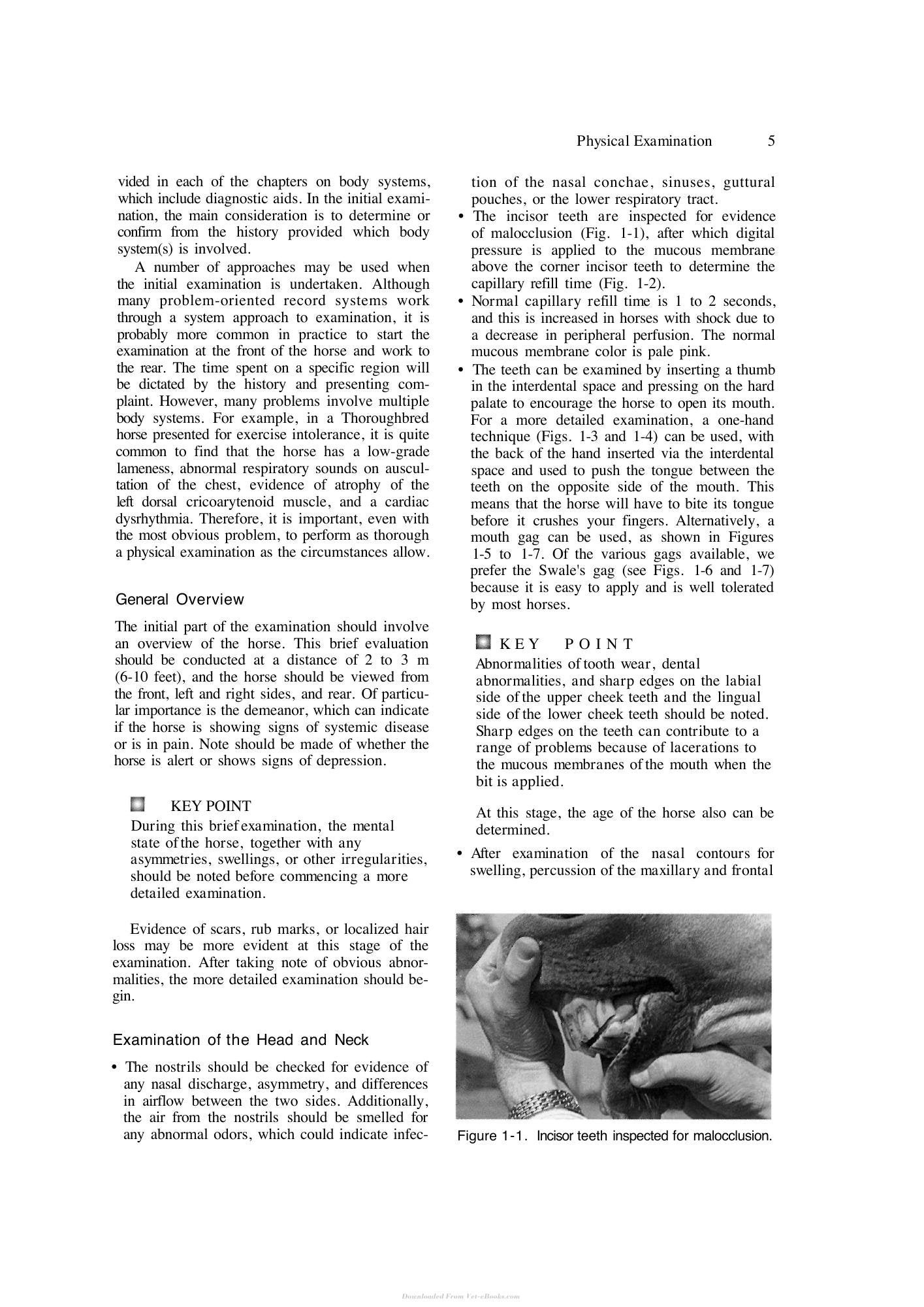 Look inside — page 21