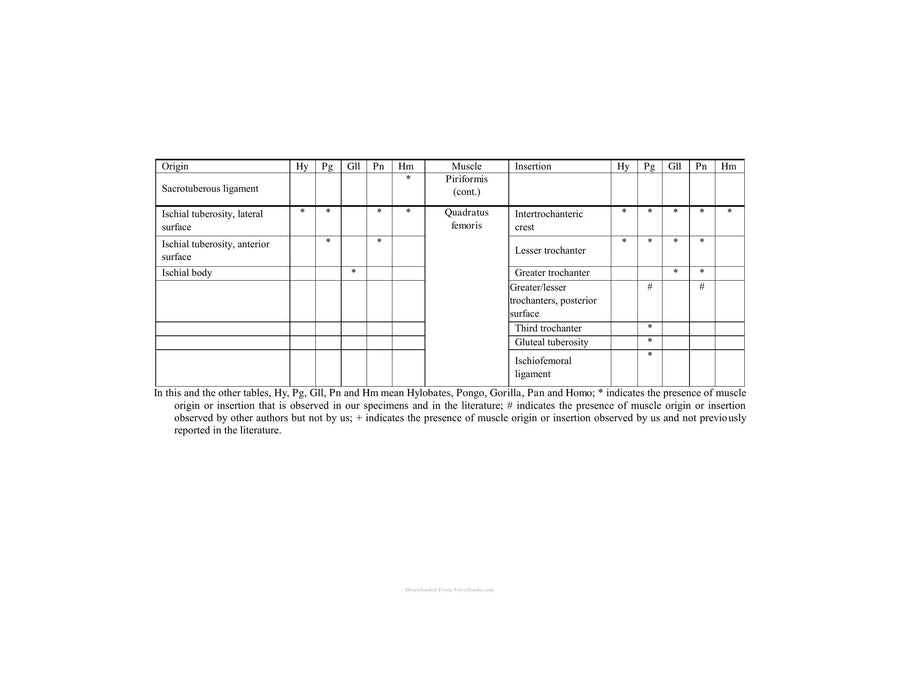 Preview page of Primates Classification Evolution and Behavior