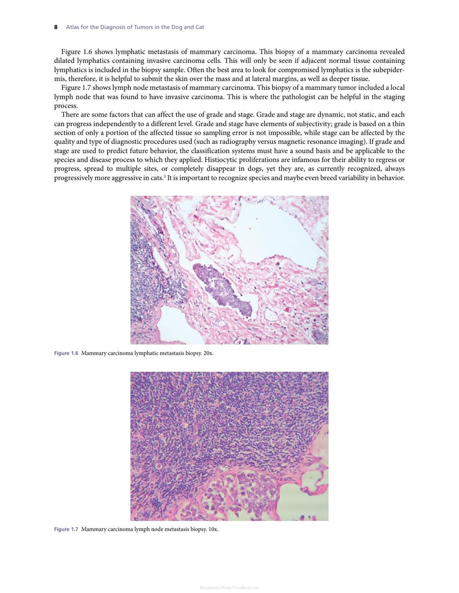 Preview page of Atlas for the Diagnosis of Tumors in the Dog and Cat