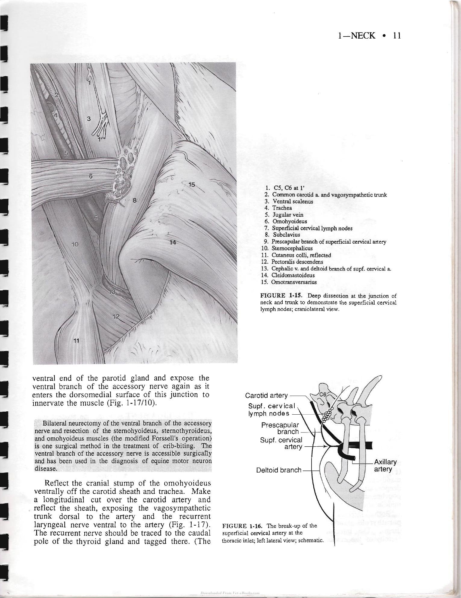 Look inside — page 21