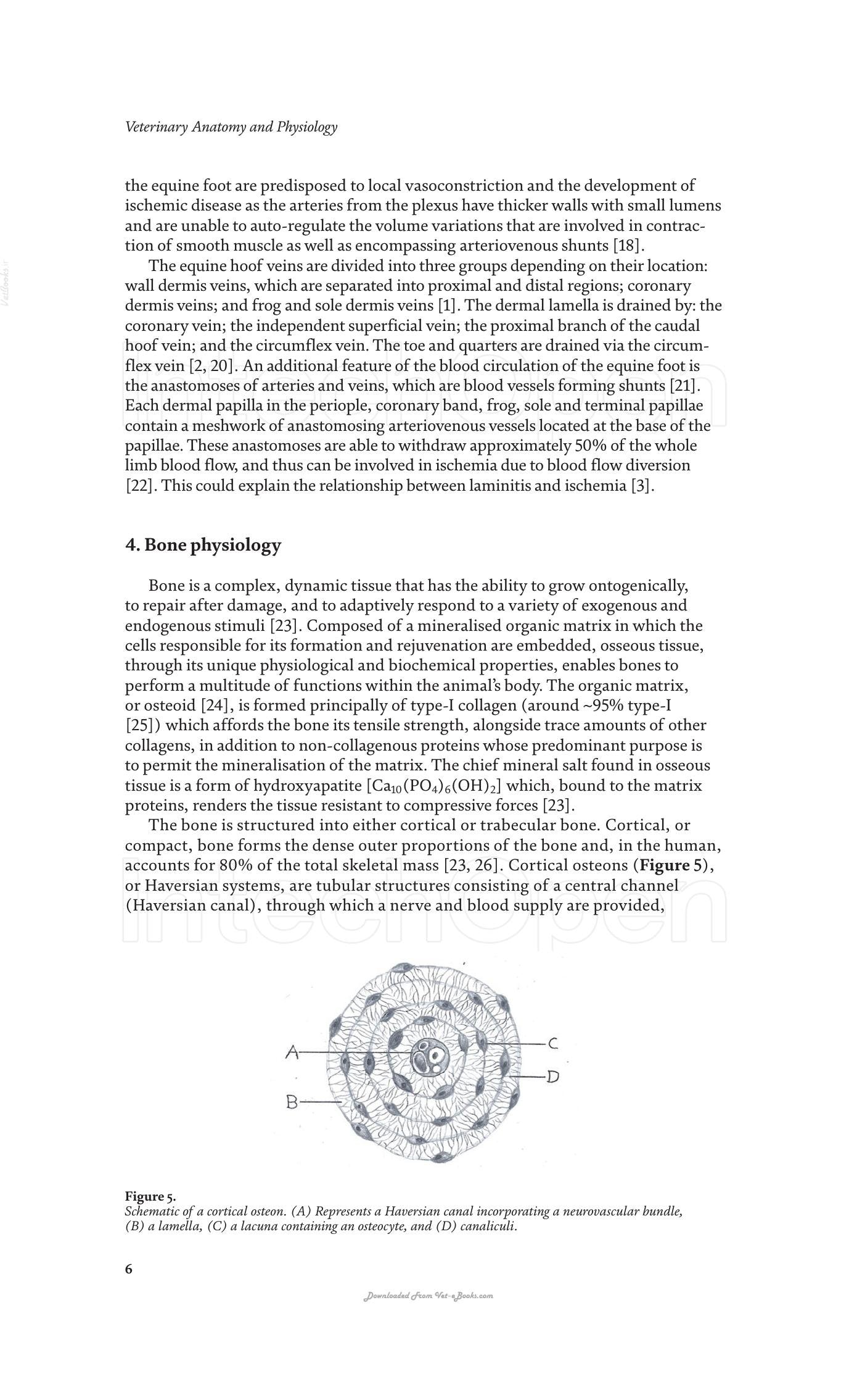 Look inside — page 21