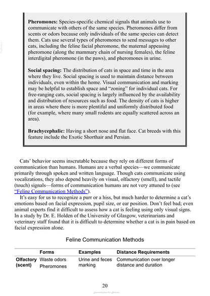 Look inside — page 21