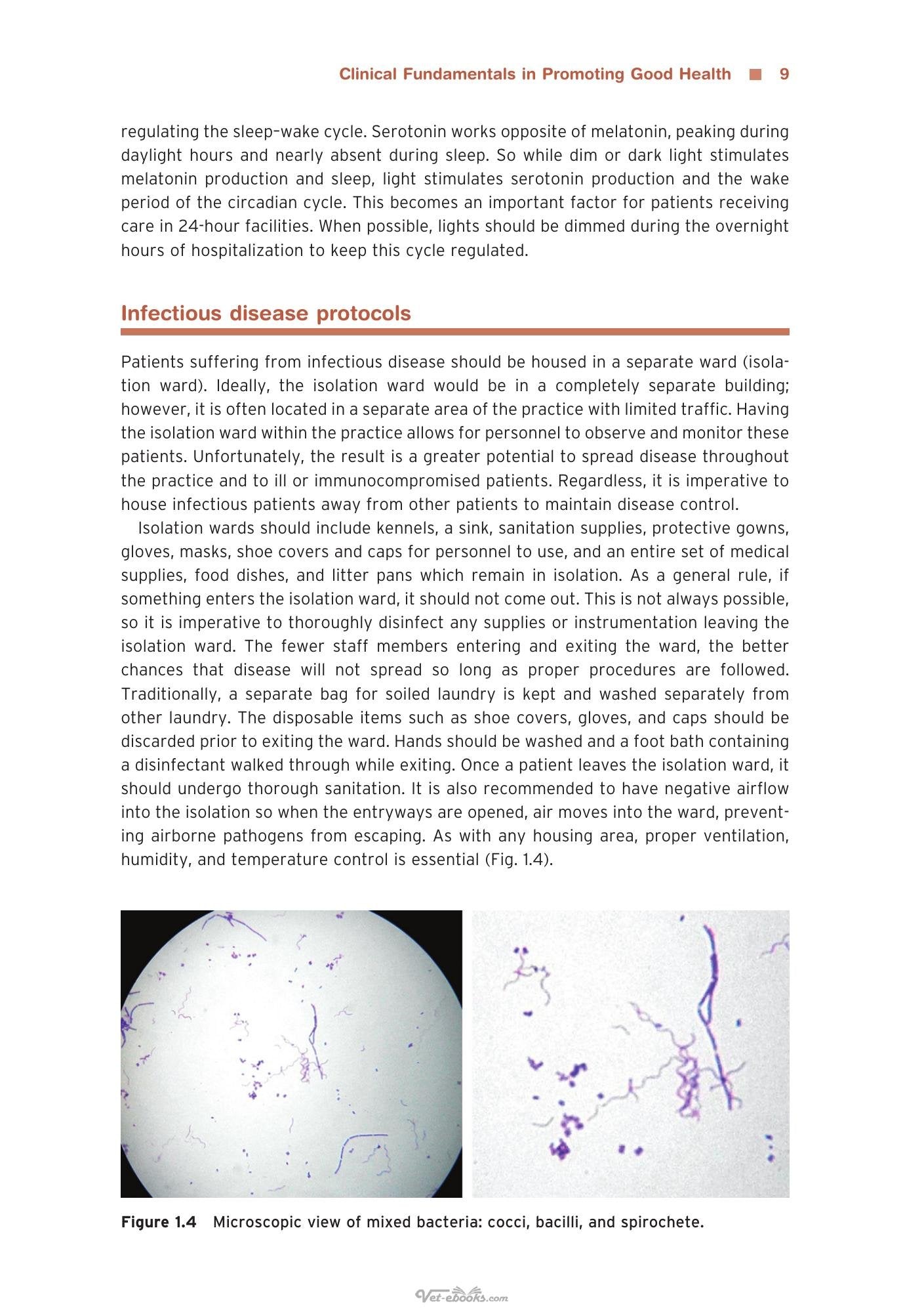 Look inside — page 21