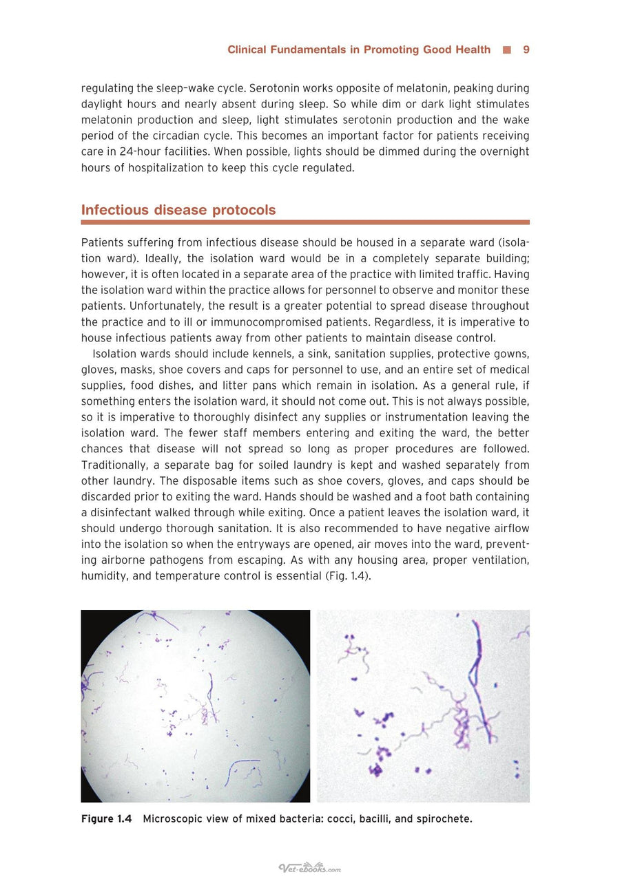 Preview page of Clinical Small Animal Care Promoting Patient Health Through Preventative Nursing