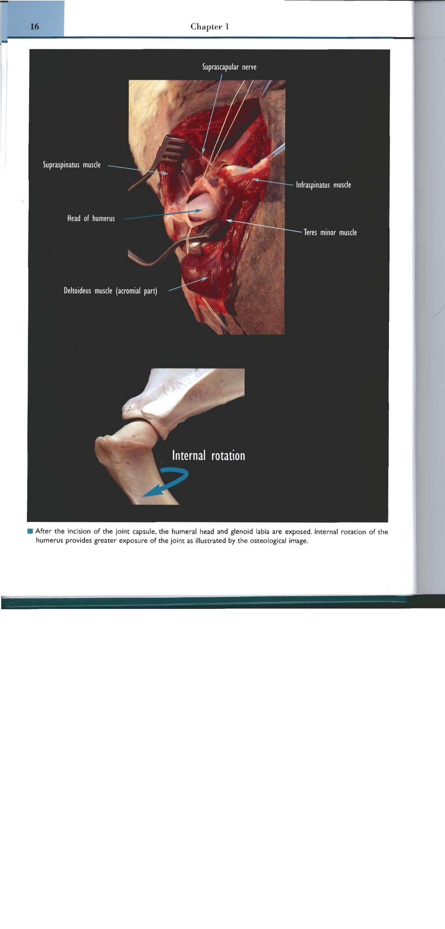 Look inside — page 21