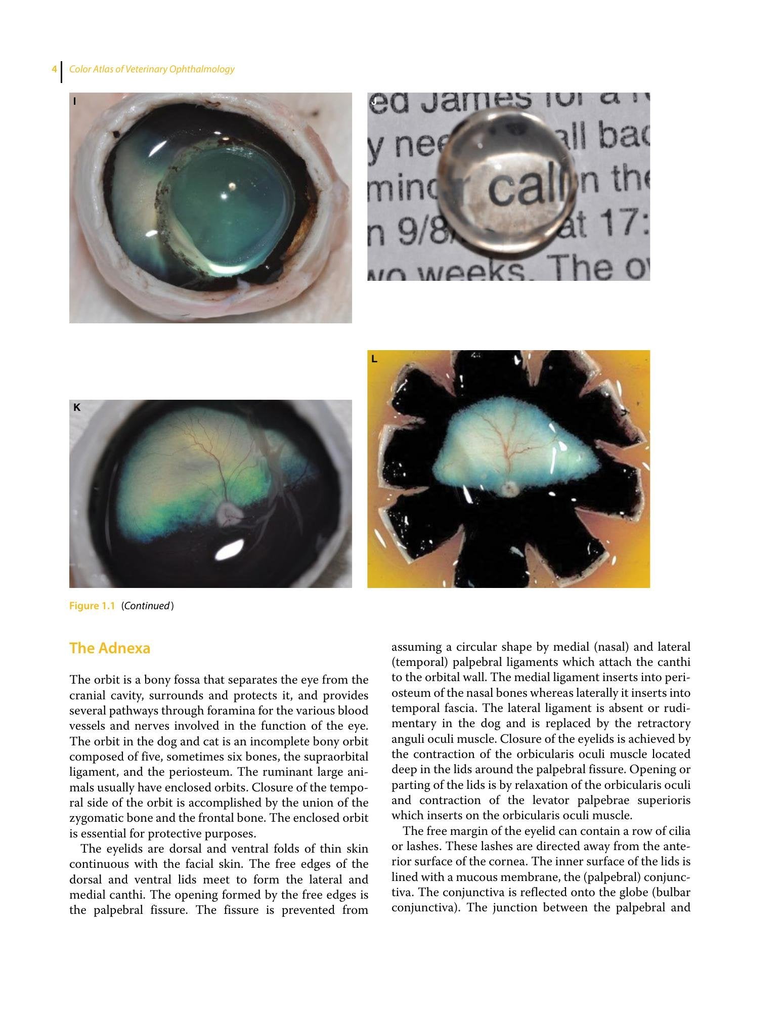 Look inside — page 21