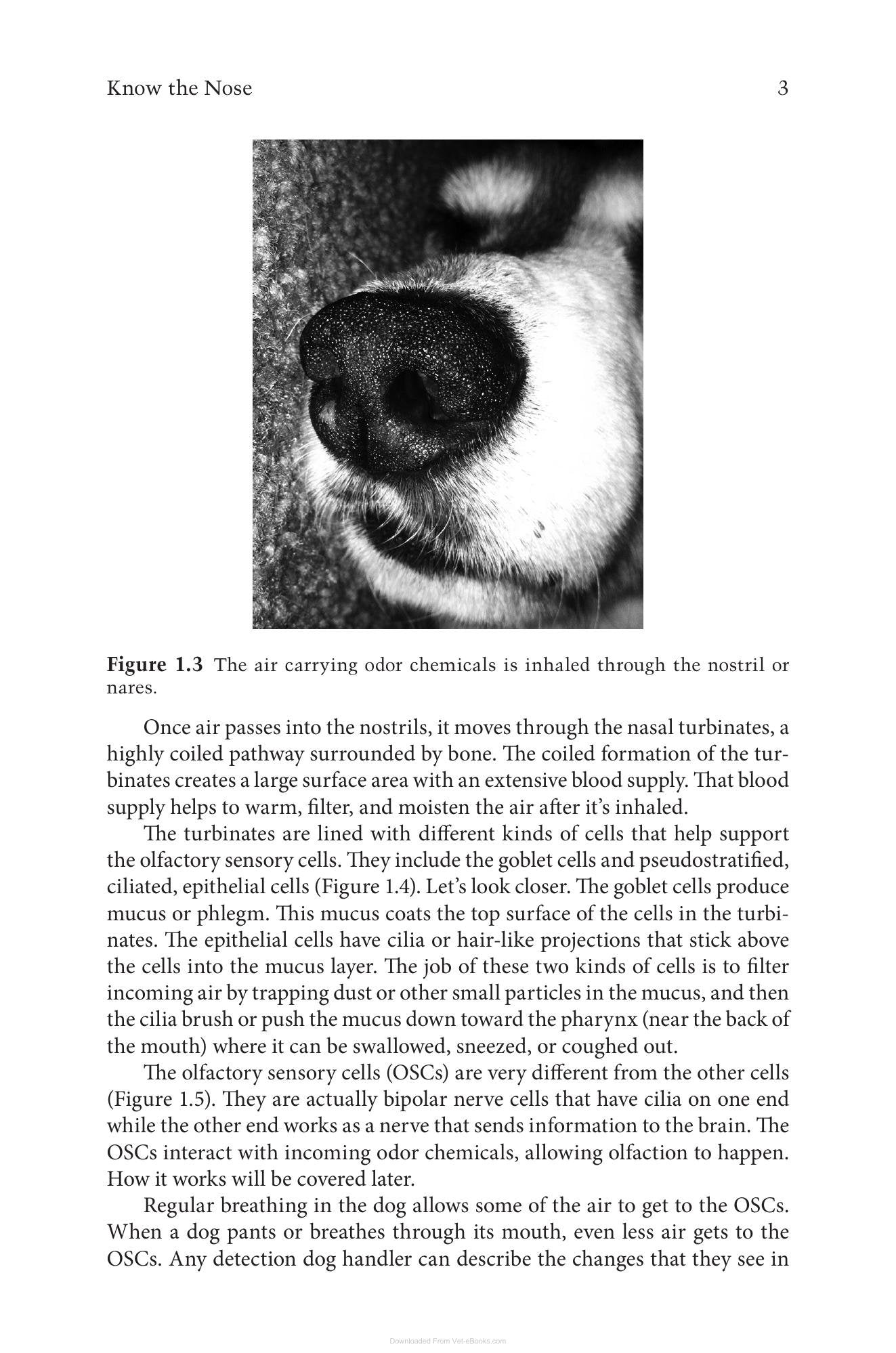 Look inside — page 21