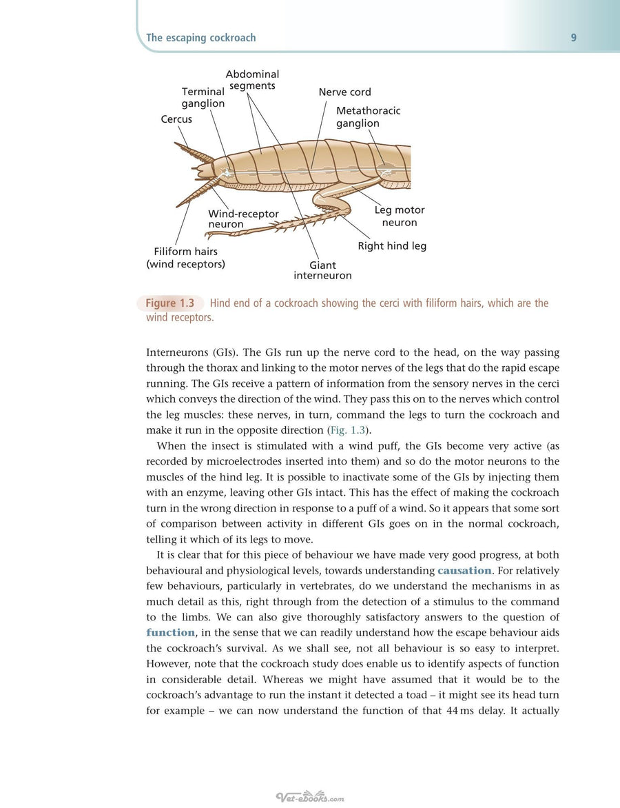 Preview page of An Introduction to Animal Behaviour 6th Edition