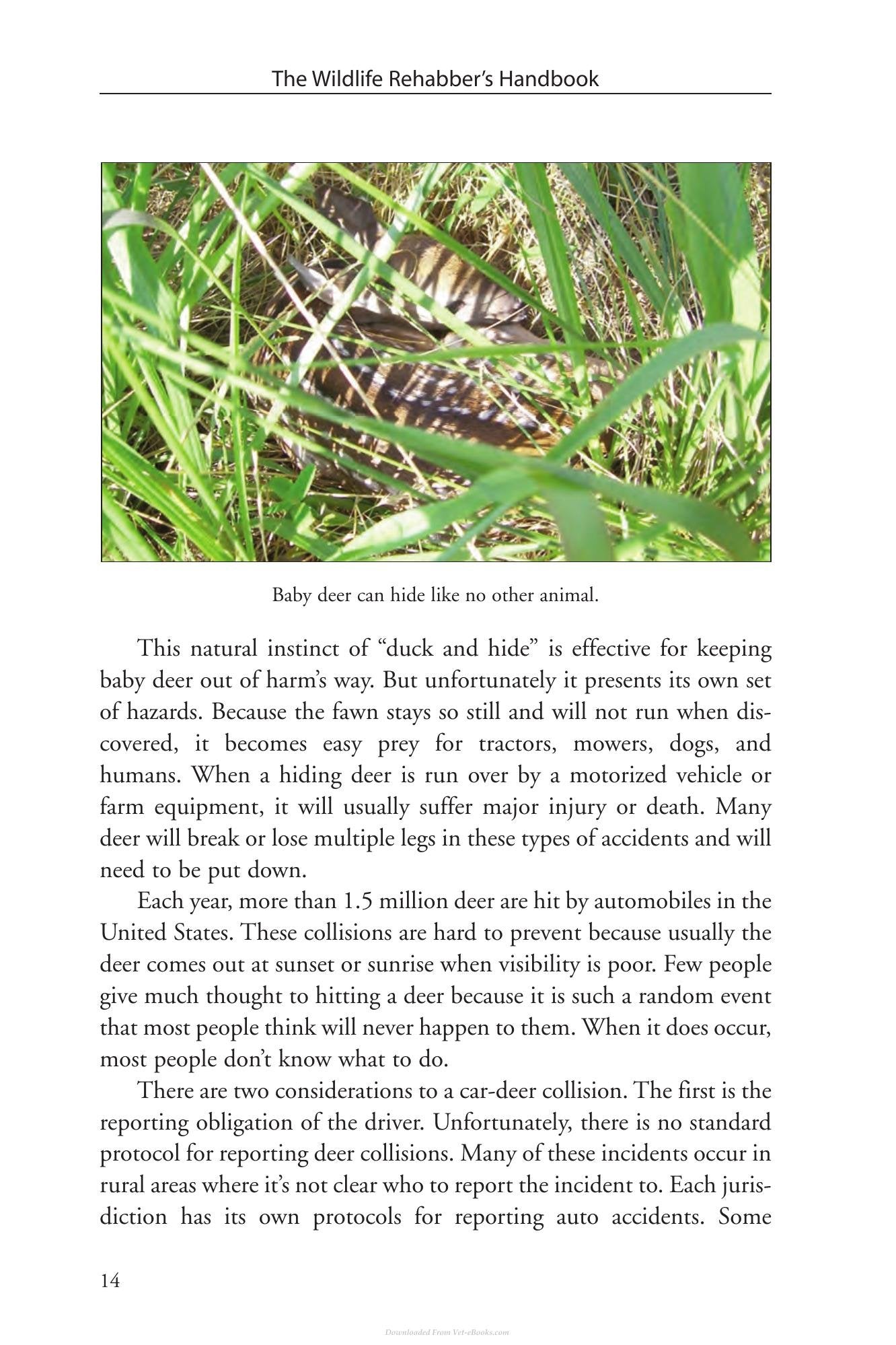 Look inside — page 21