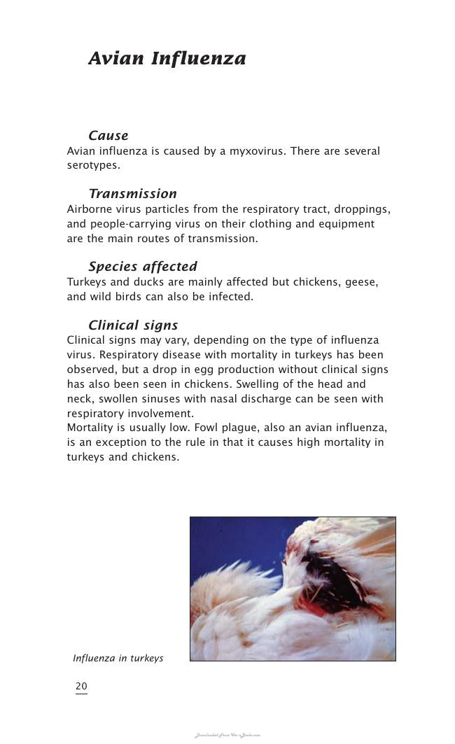 Important Poultry Diseases