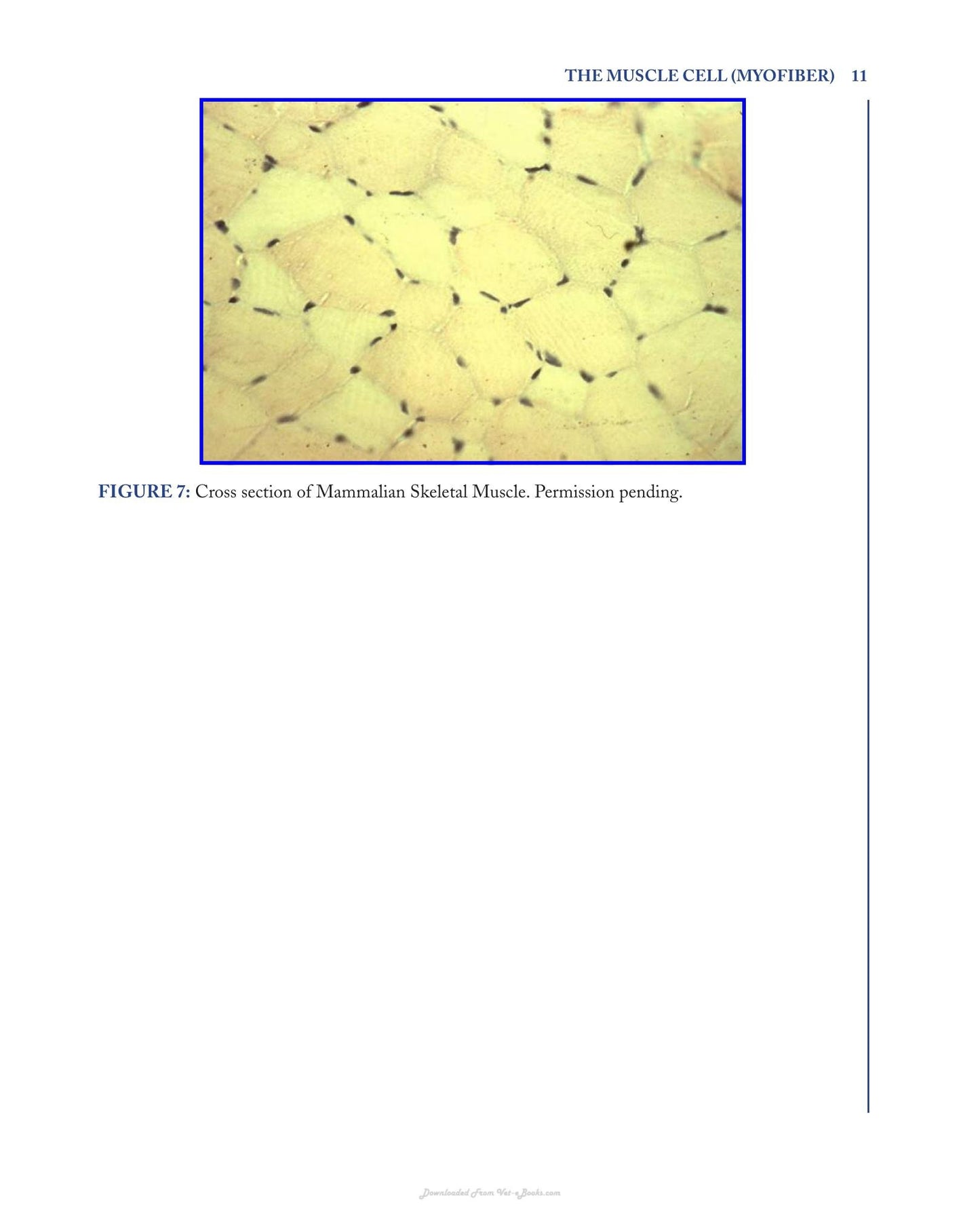 Look inside — page 21