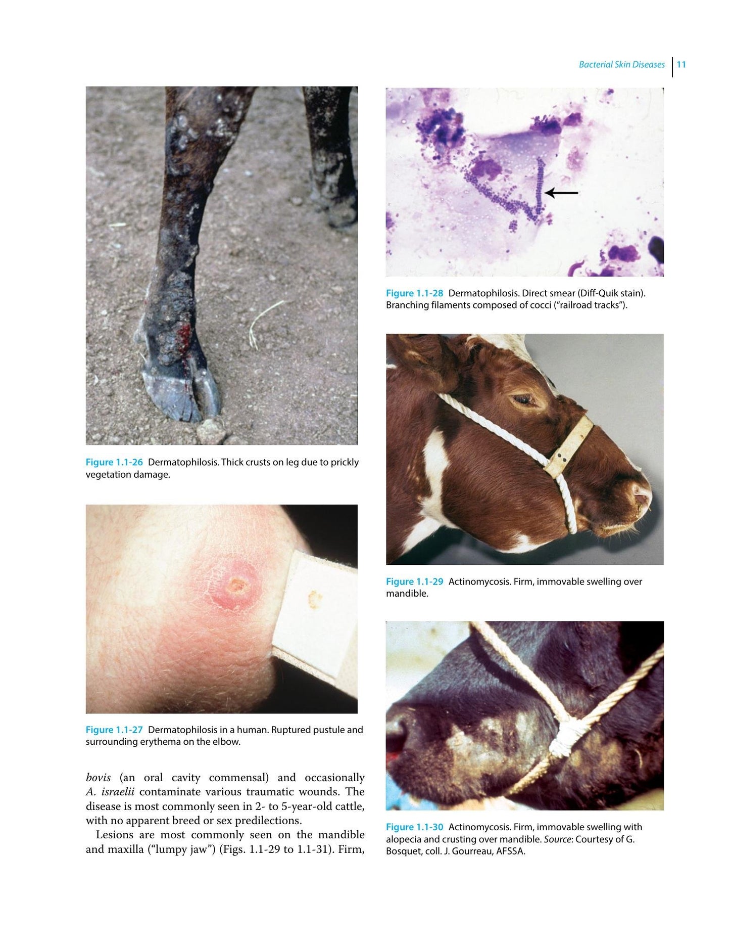 Look inside — page 21