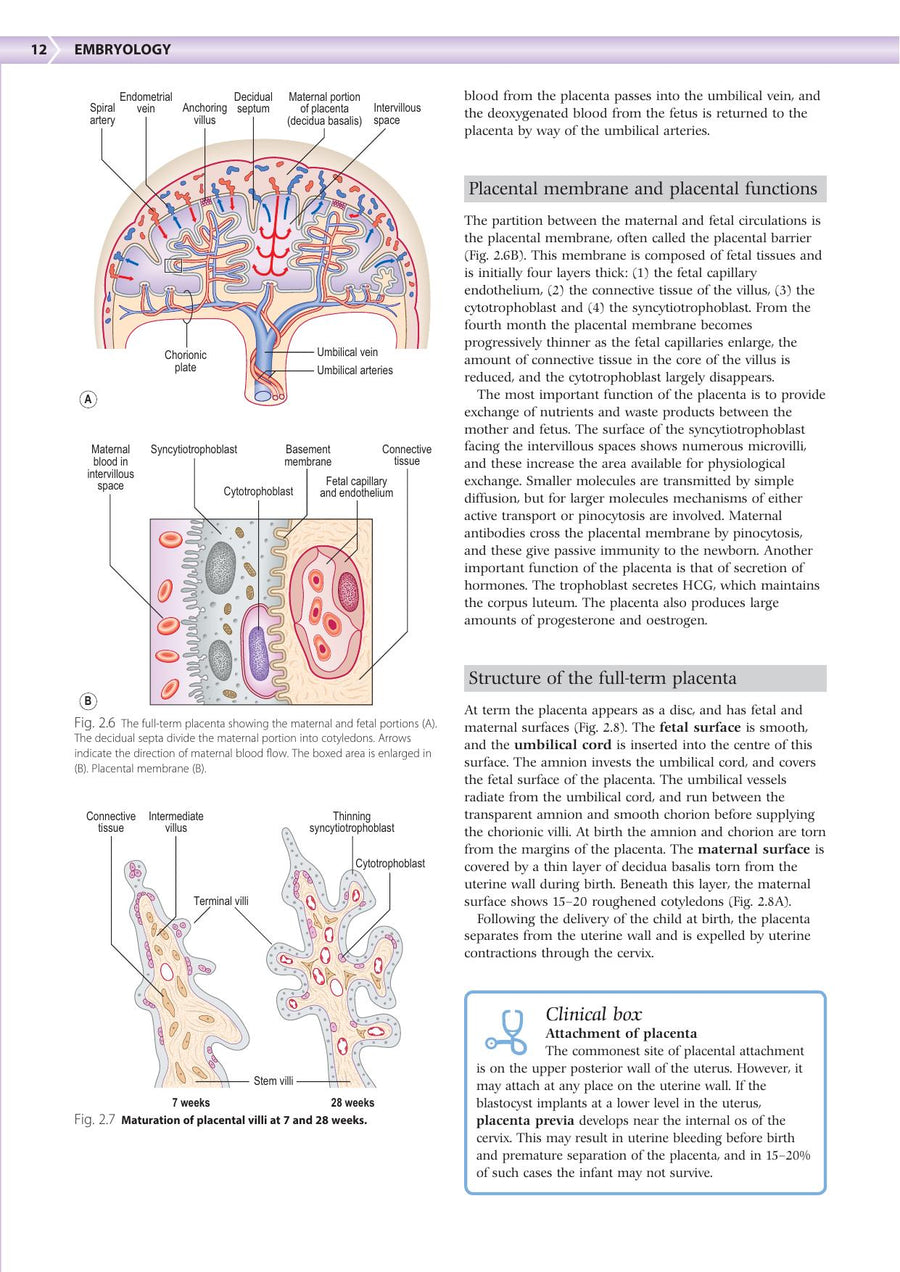 Preview page of Embryology an Illustrated Colour Text 2nd Edition