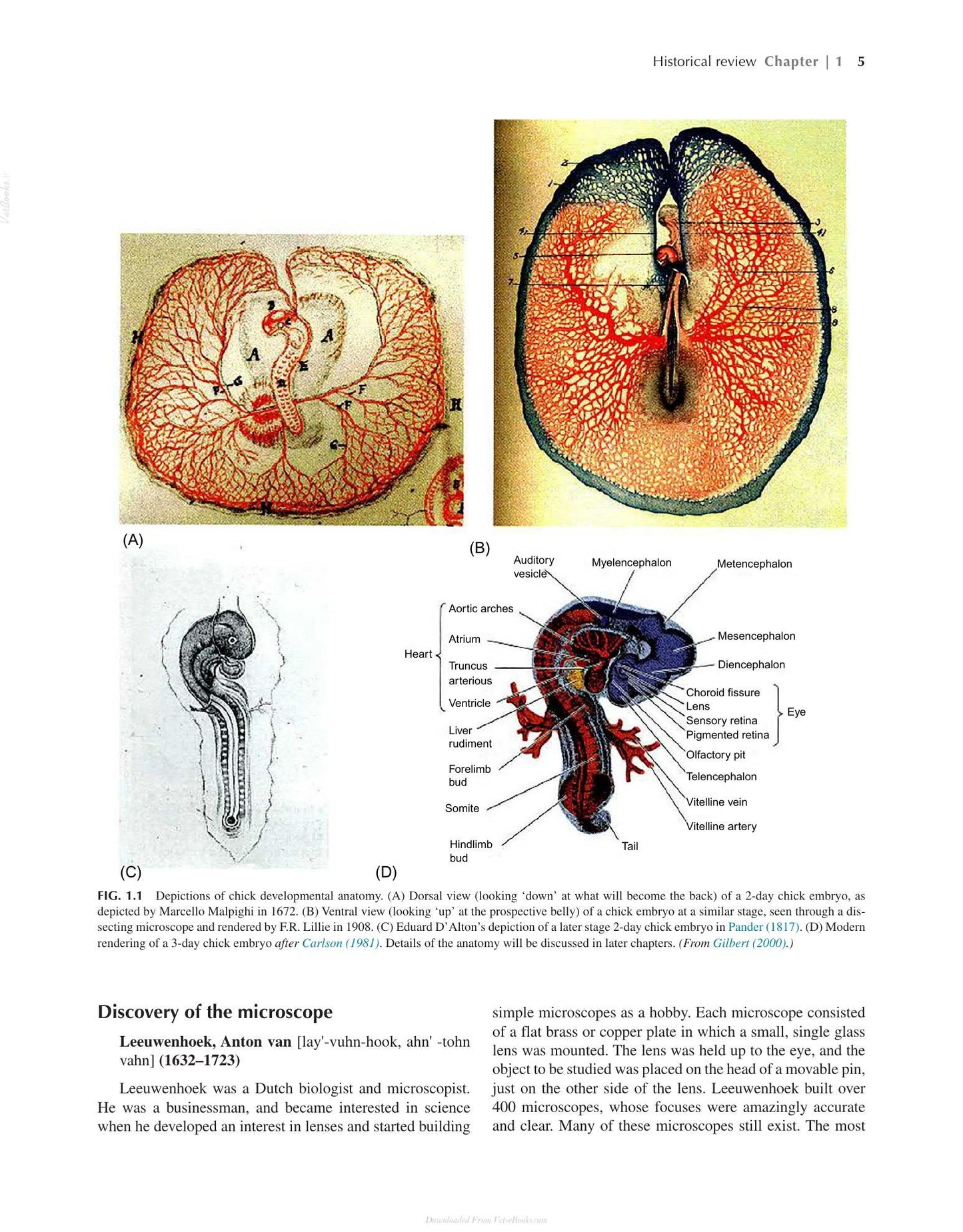 Look inside — page 21