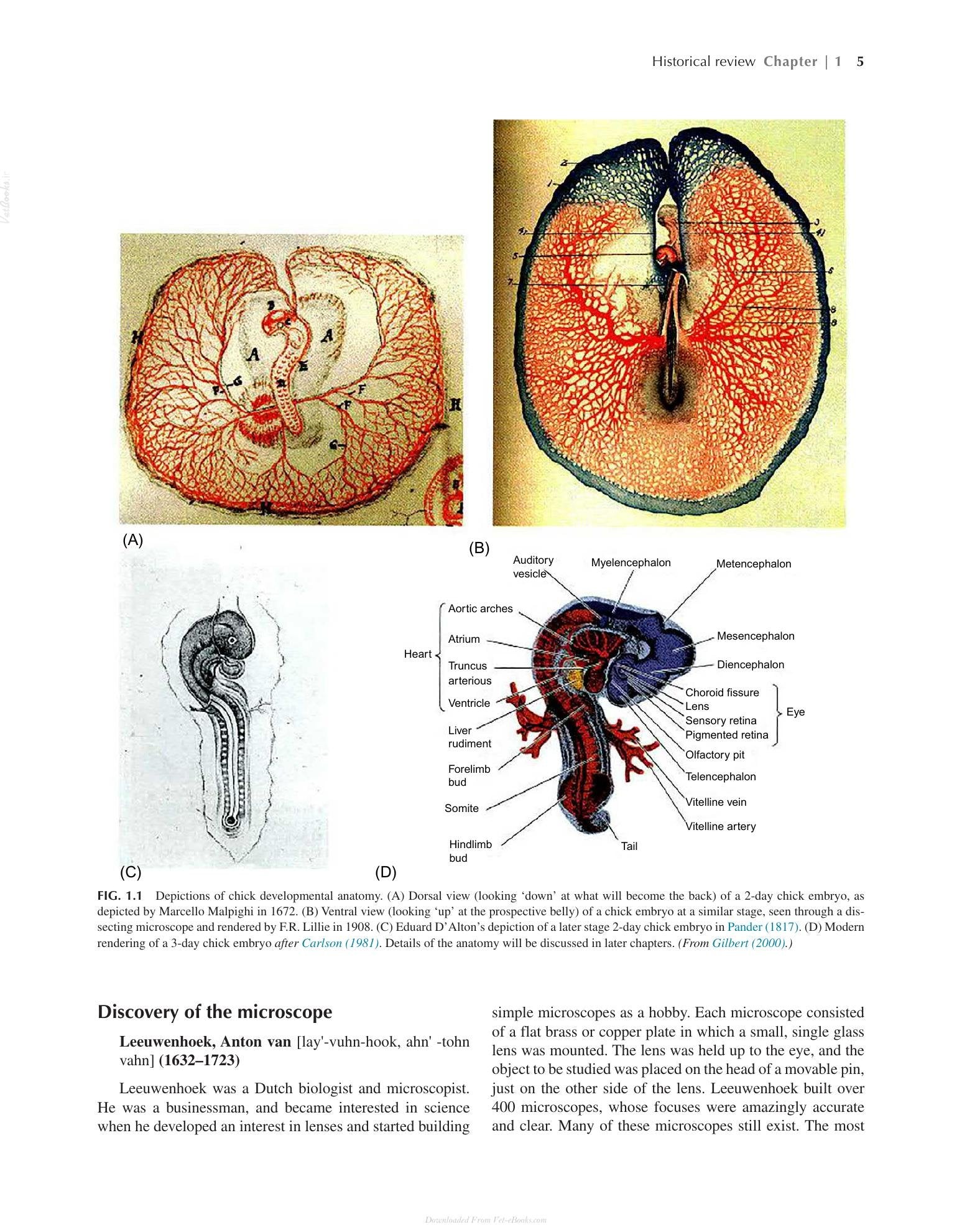 Look inside — page 21