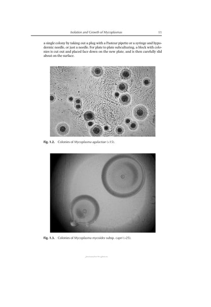 Look inside — page 21