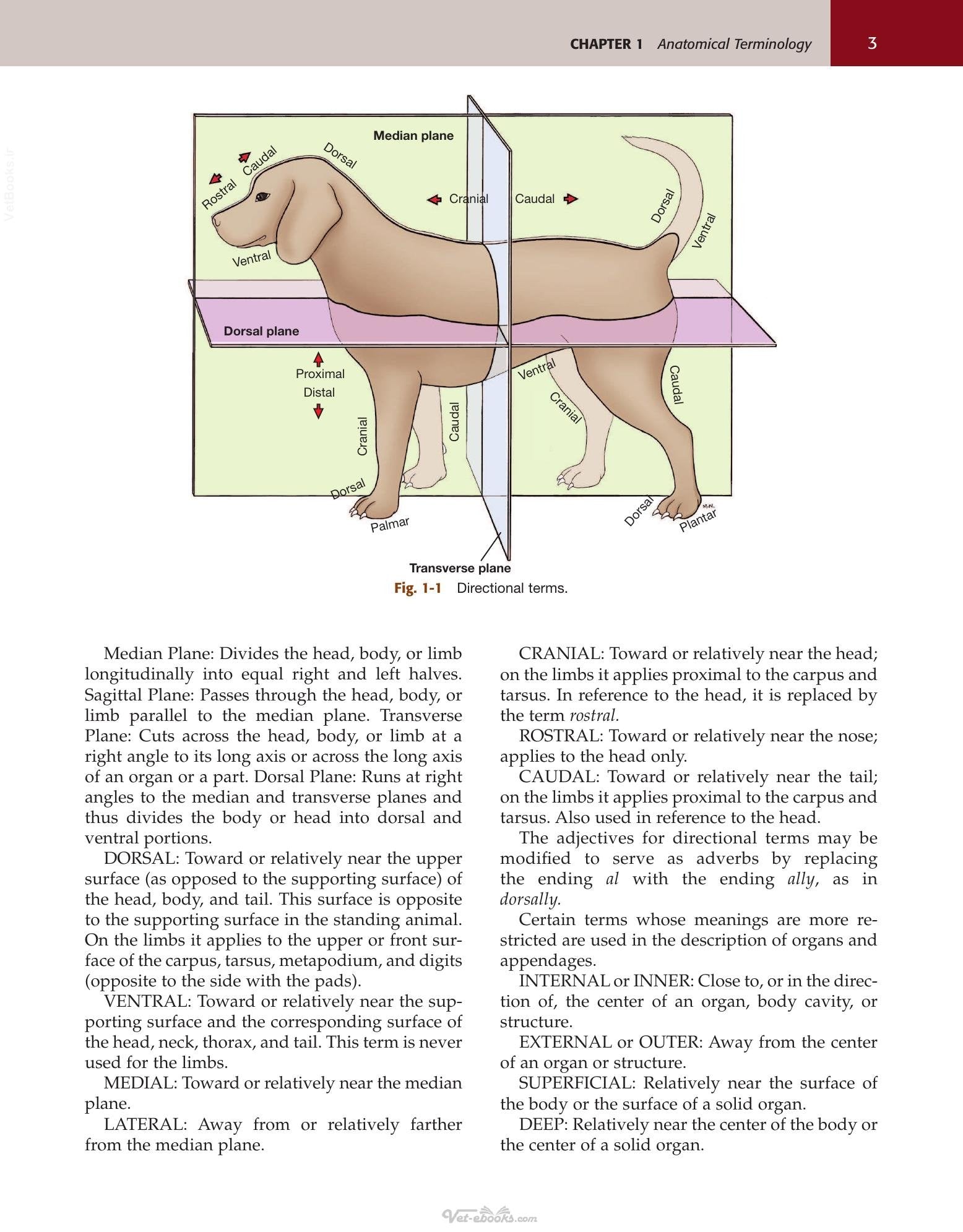 Look inside — page 21