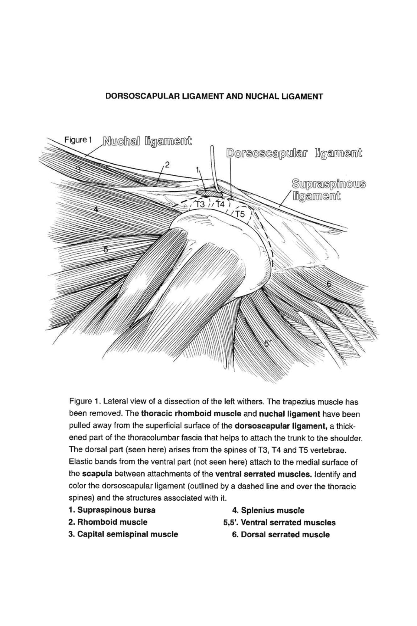 Look inside — page 21