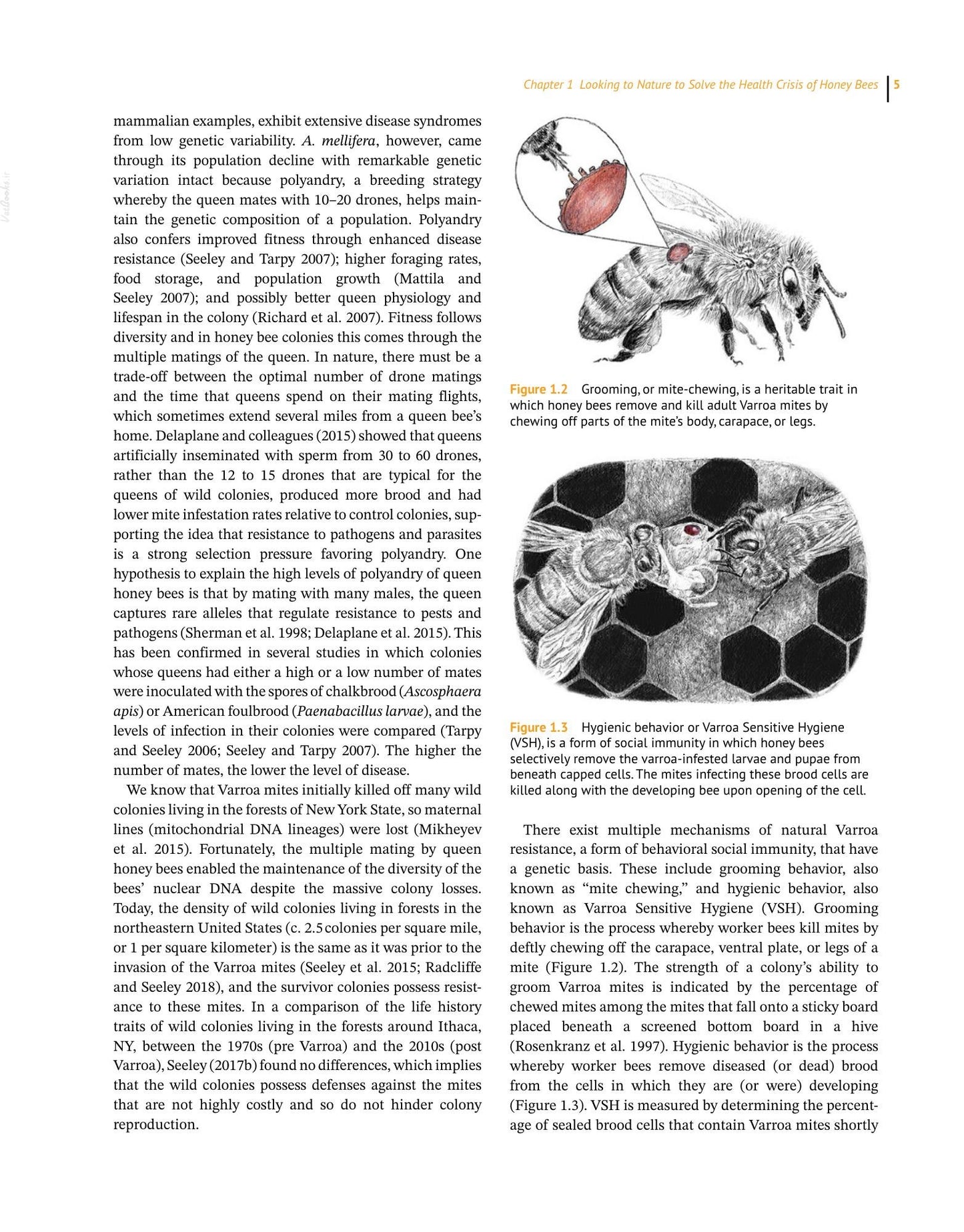 Look inside — page 21