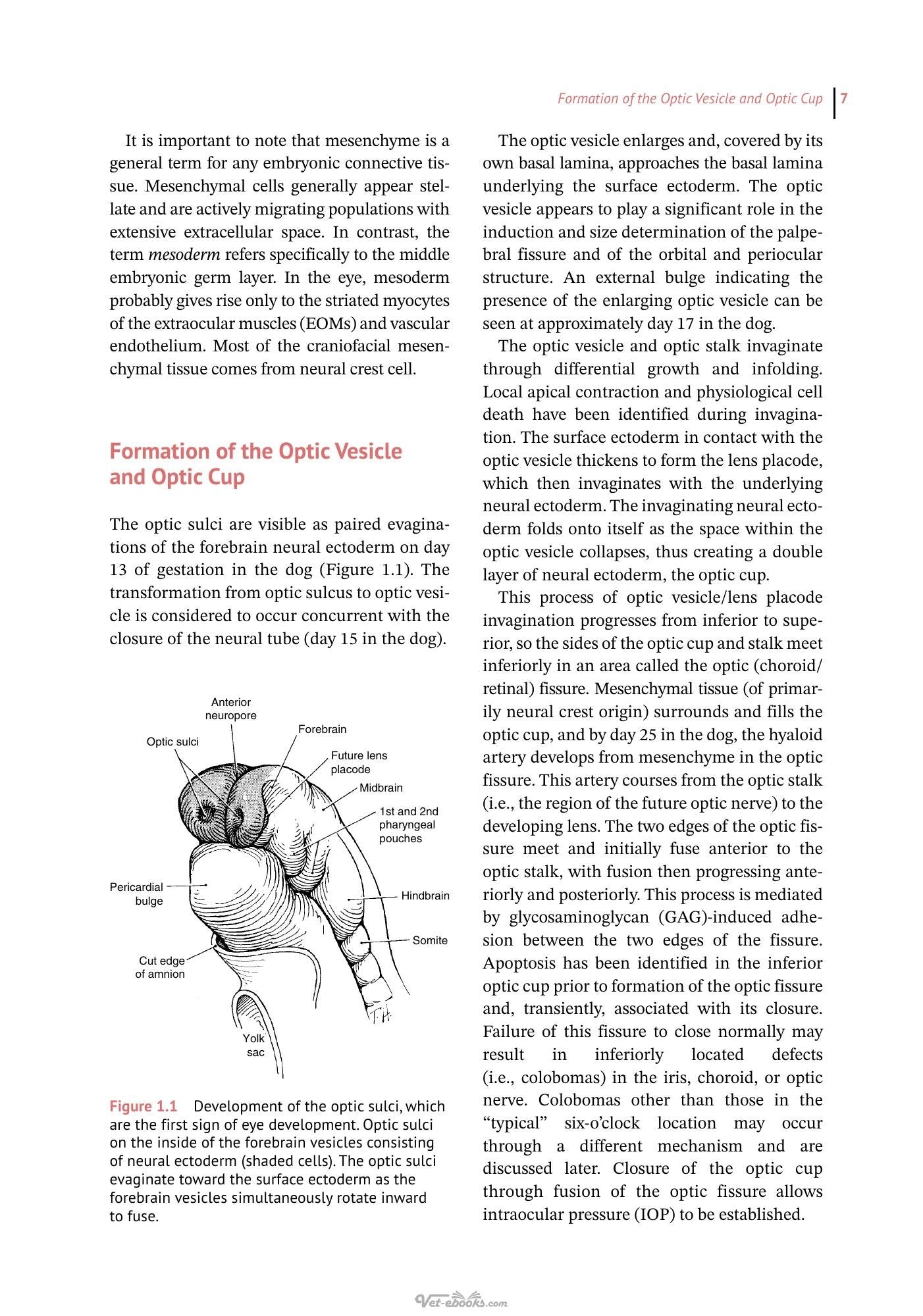 Look inside — page 21
