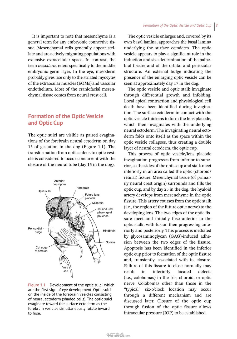 Preview page of Essentials of Veterinary Ophthalmology 4th Edition