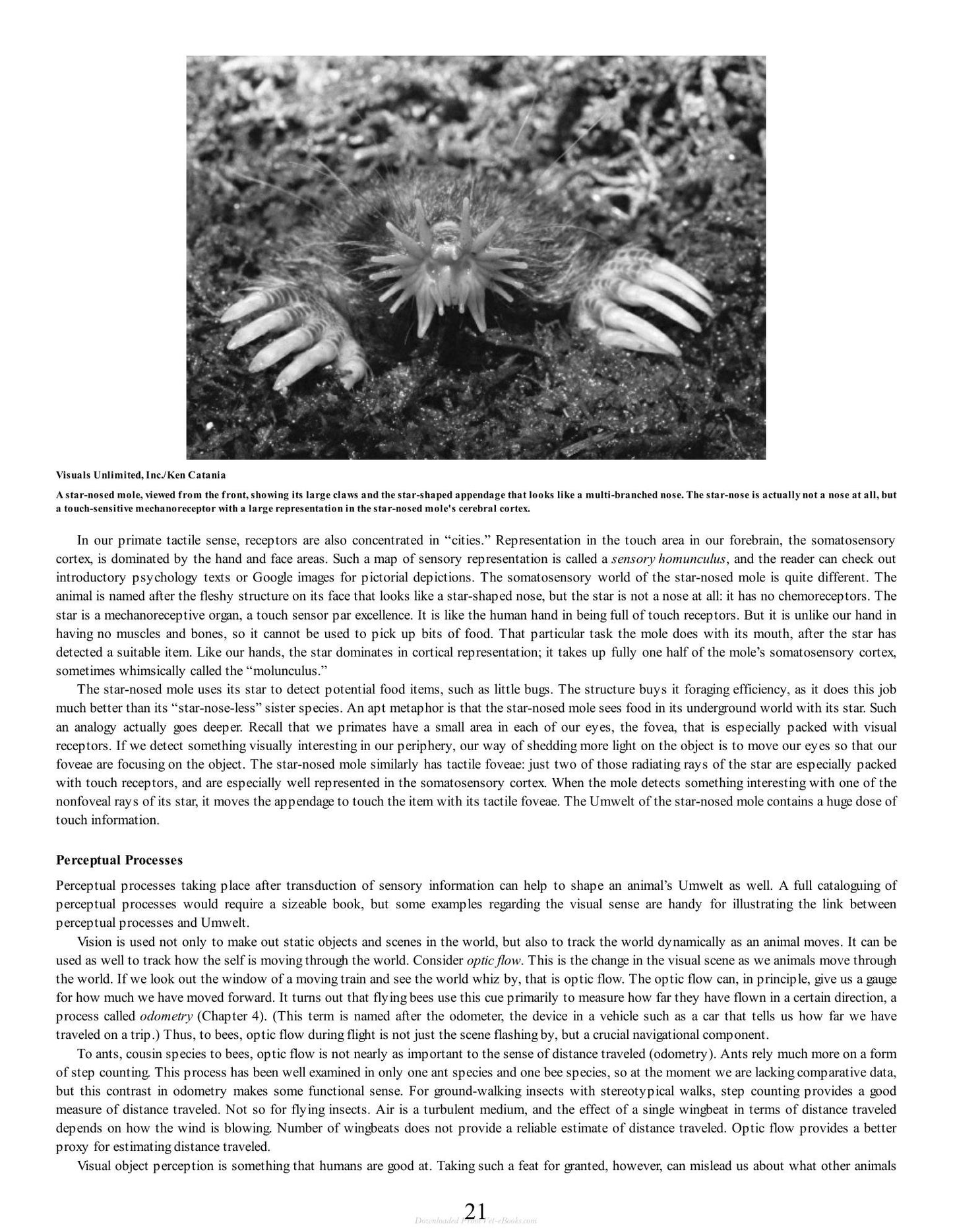 Look inside — page 21