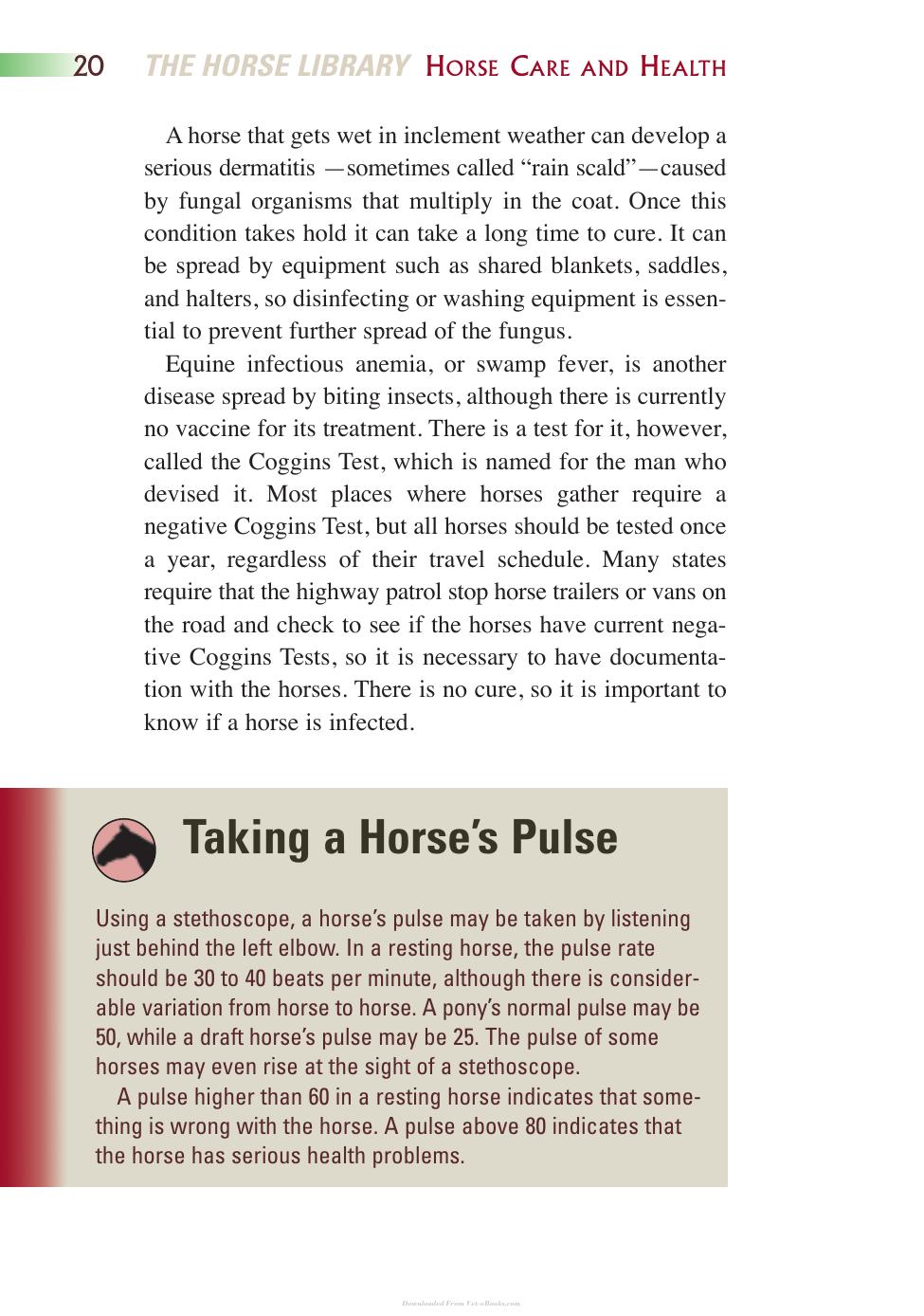 Horse Health And Care