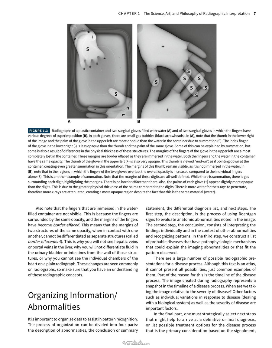 Preview page of Atlas of Small Animal Diagnostic Imaging