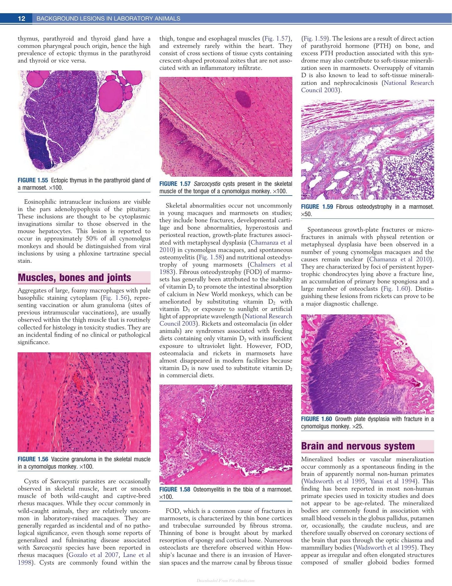 Look inside — page 21