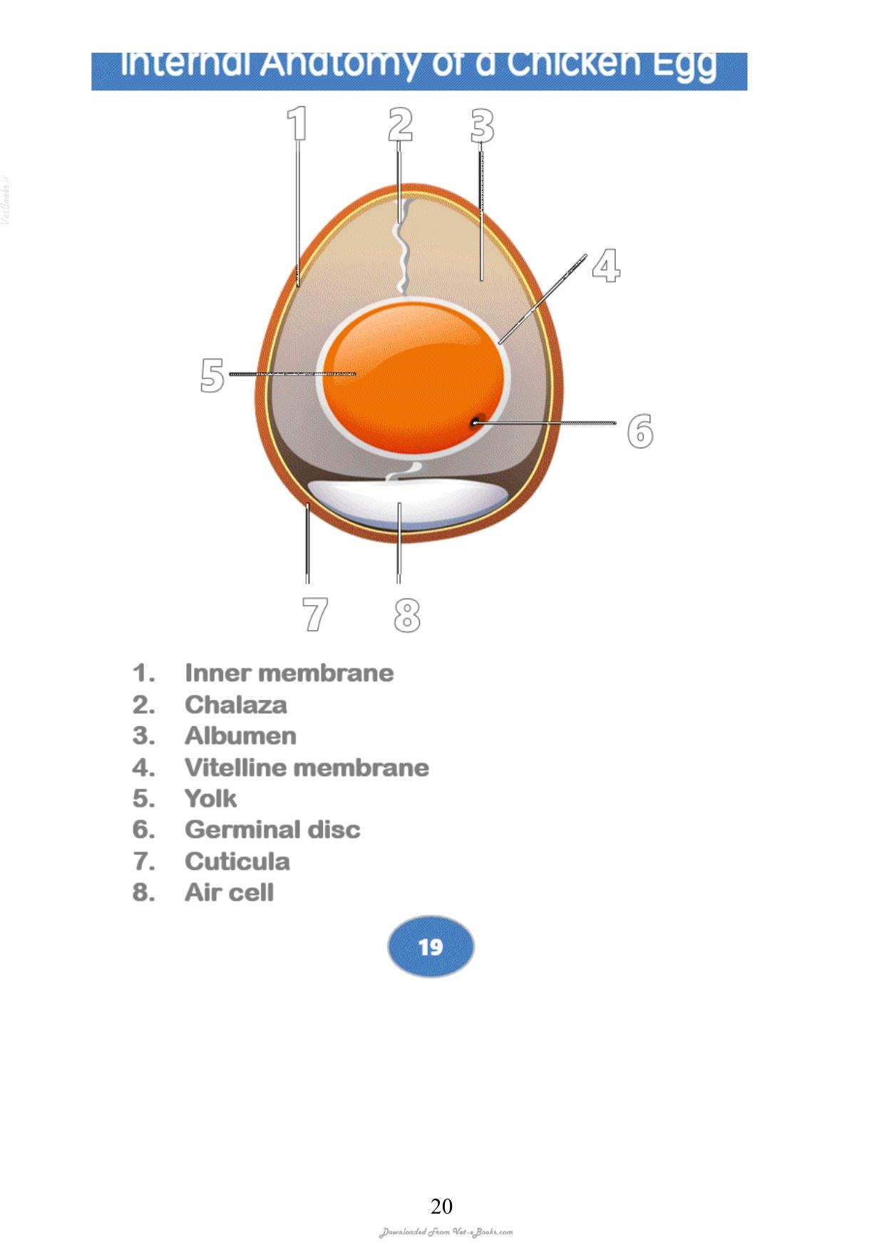 Textbook Of Veterinary Anatomy And Physiology Basic Guide