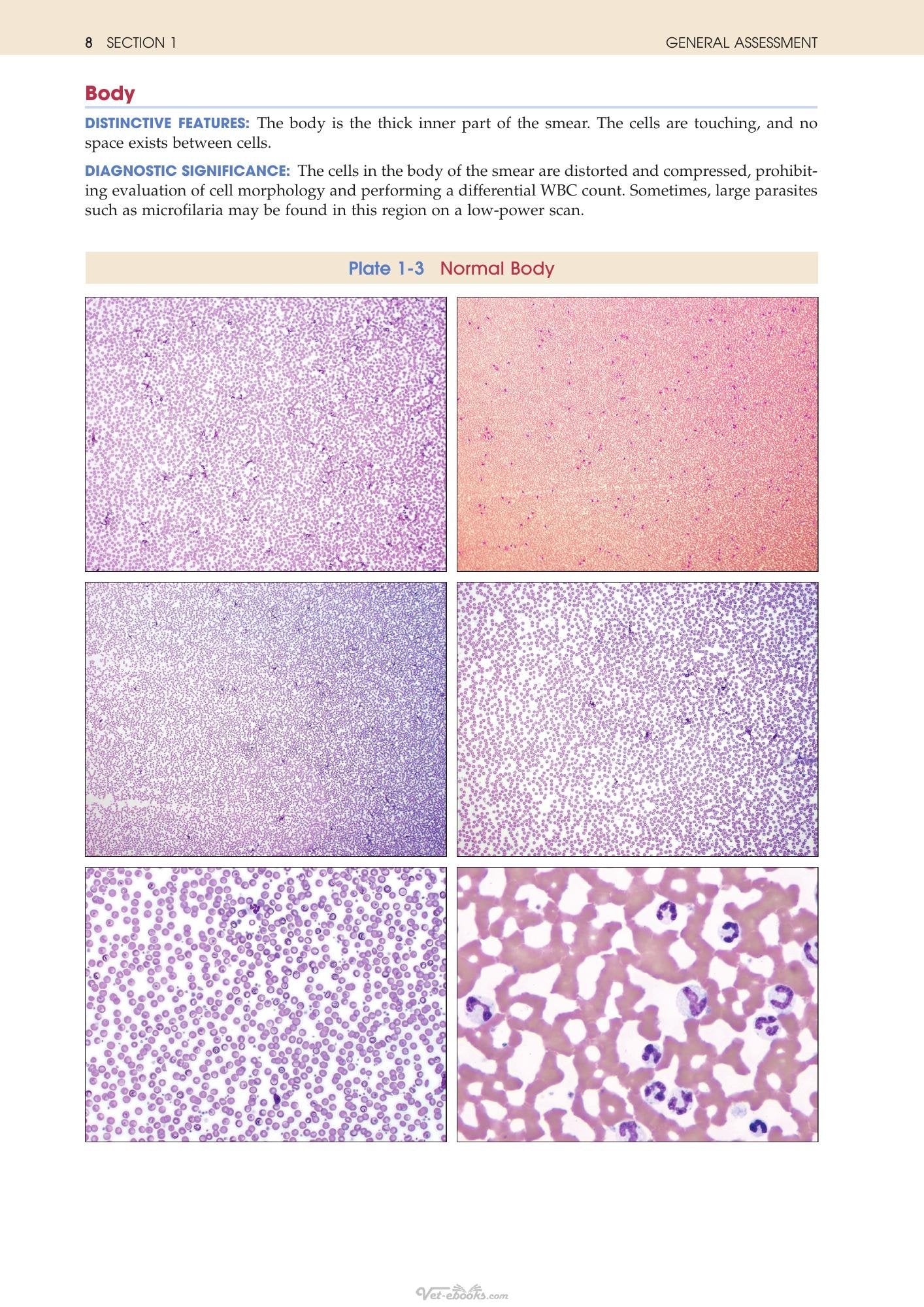 Look inside — page 21