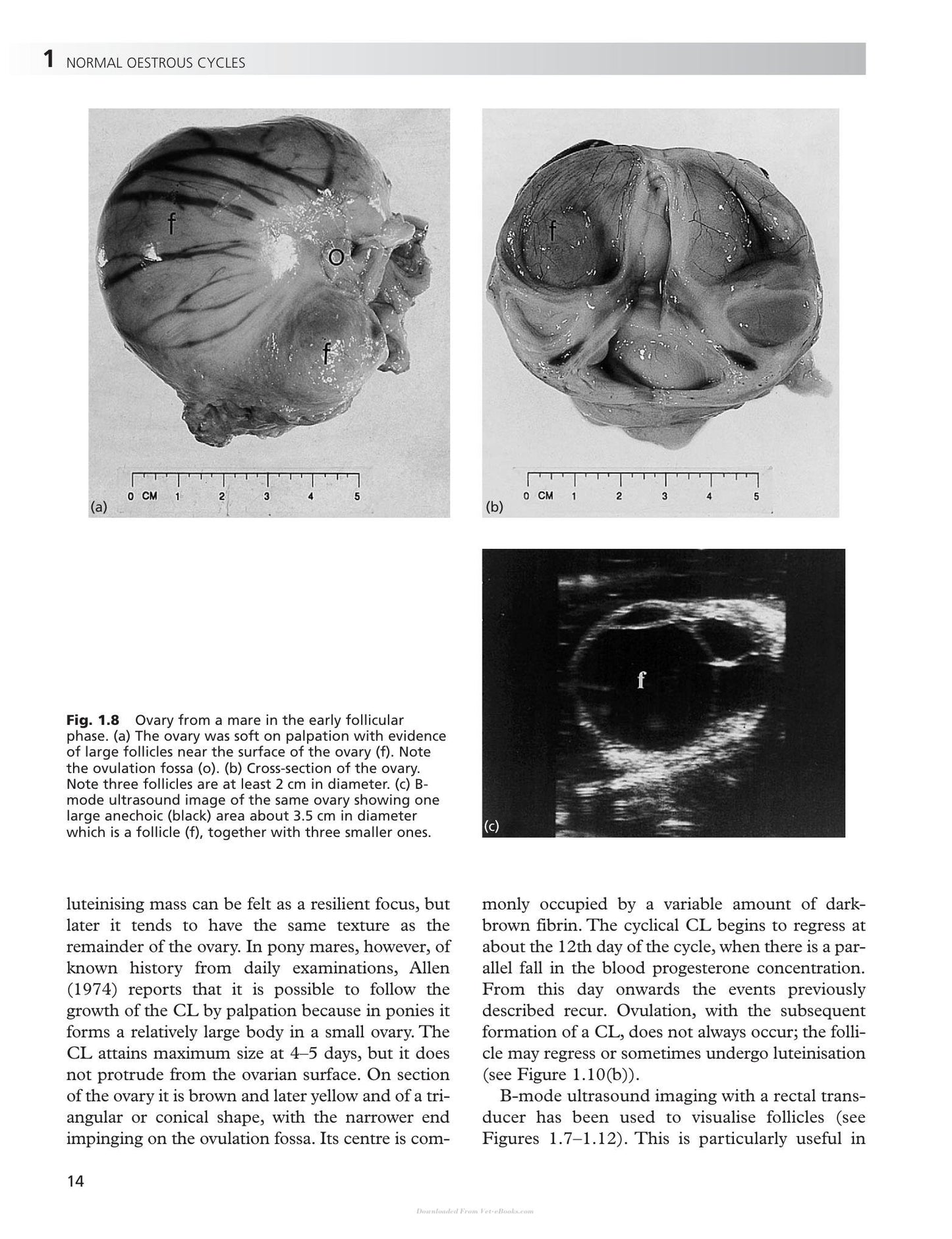 Look inside — page 21