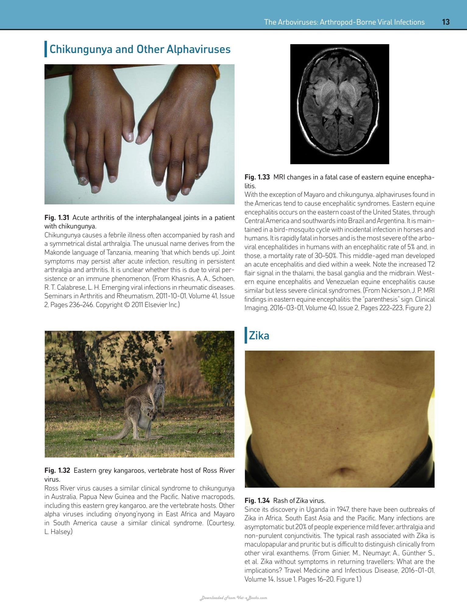Look inside — page 21