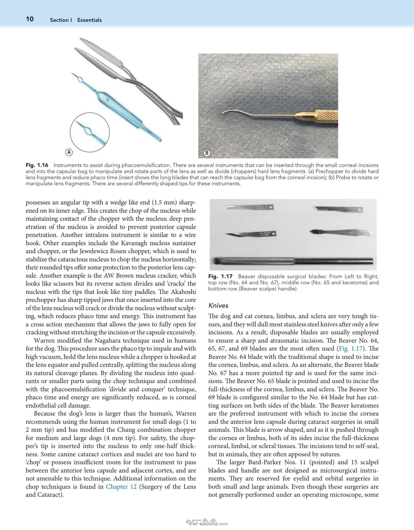Look inside — page 21