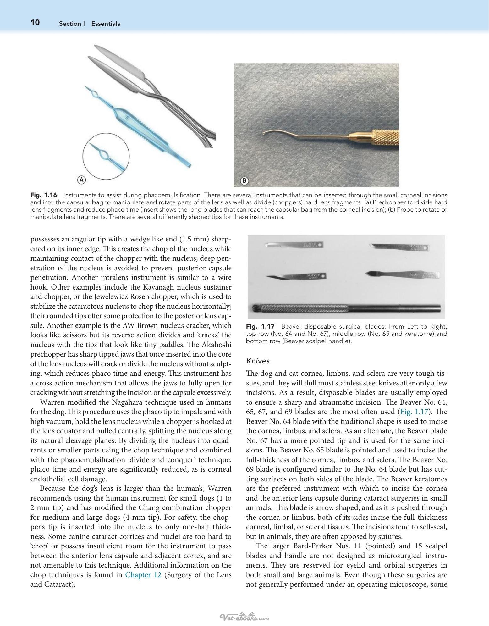 Look inside — page 21